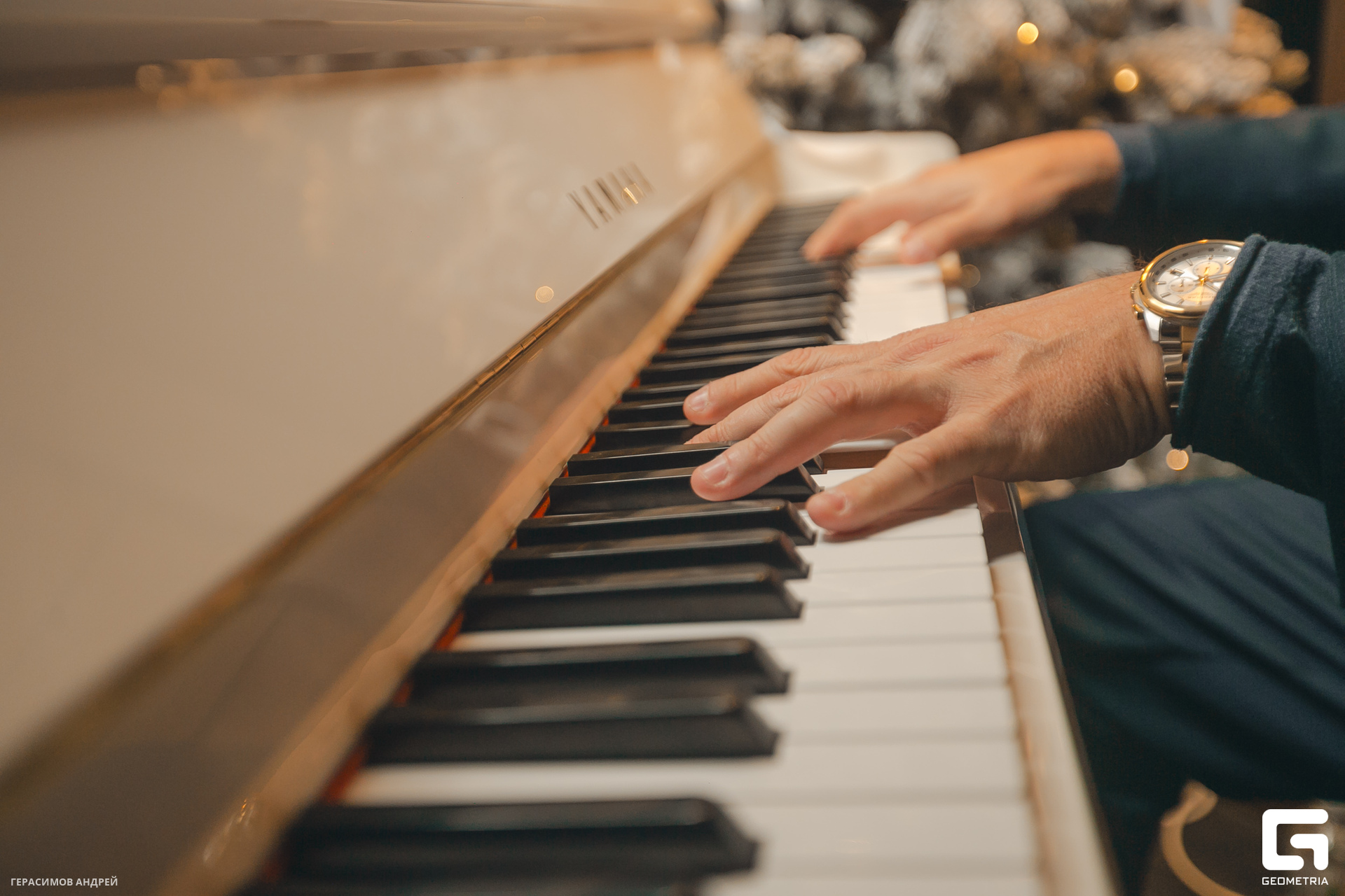 006 Шале 31. 12.jpg