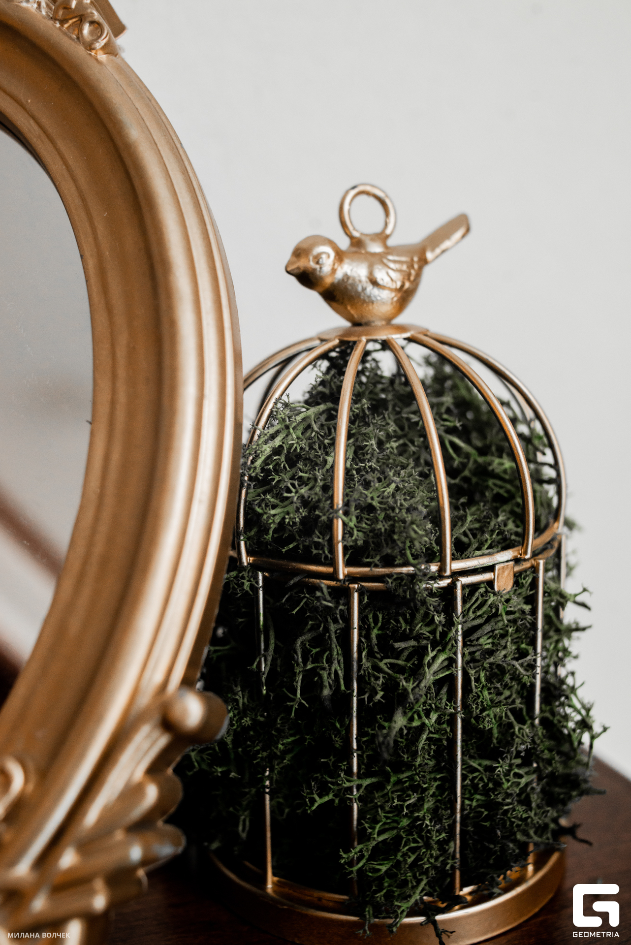 018_20230707 Волчек.jpg