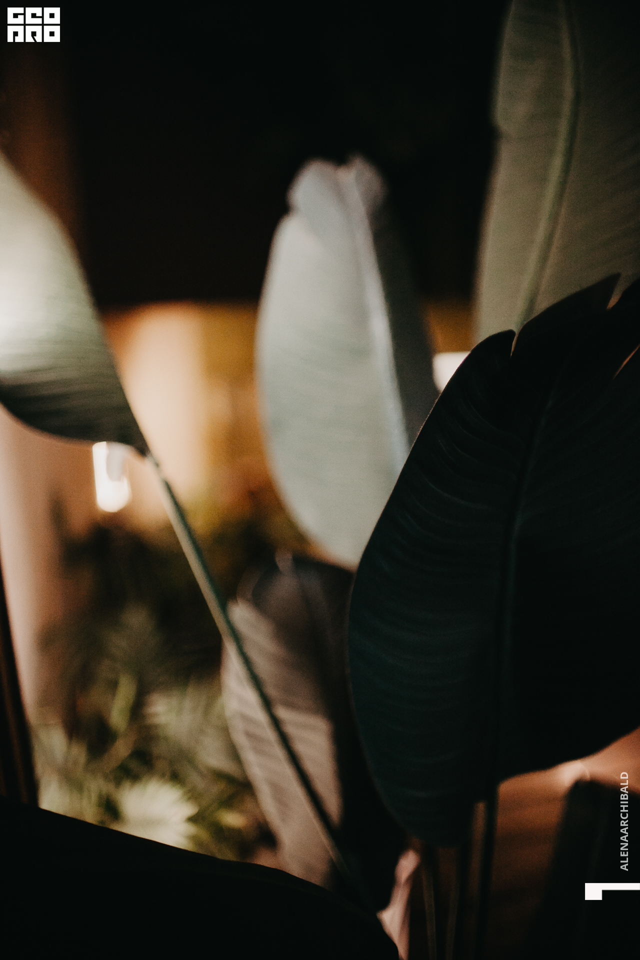 2021-12-25 20-00-41_alenaarchibald003.JPG