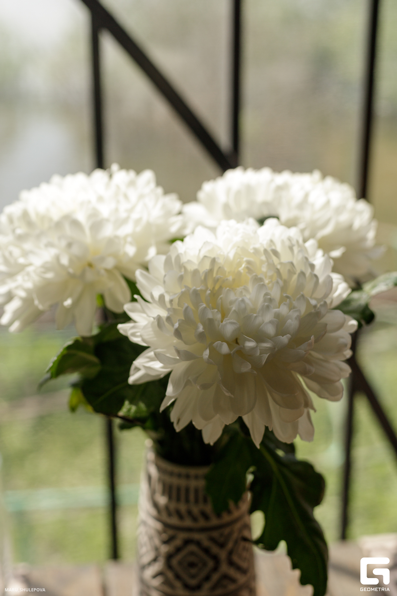 домик мечты-196.jpg