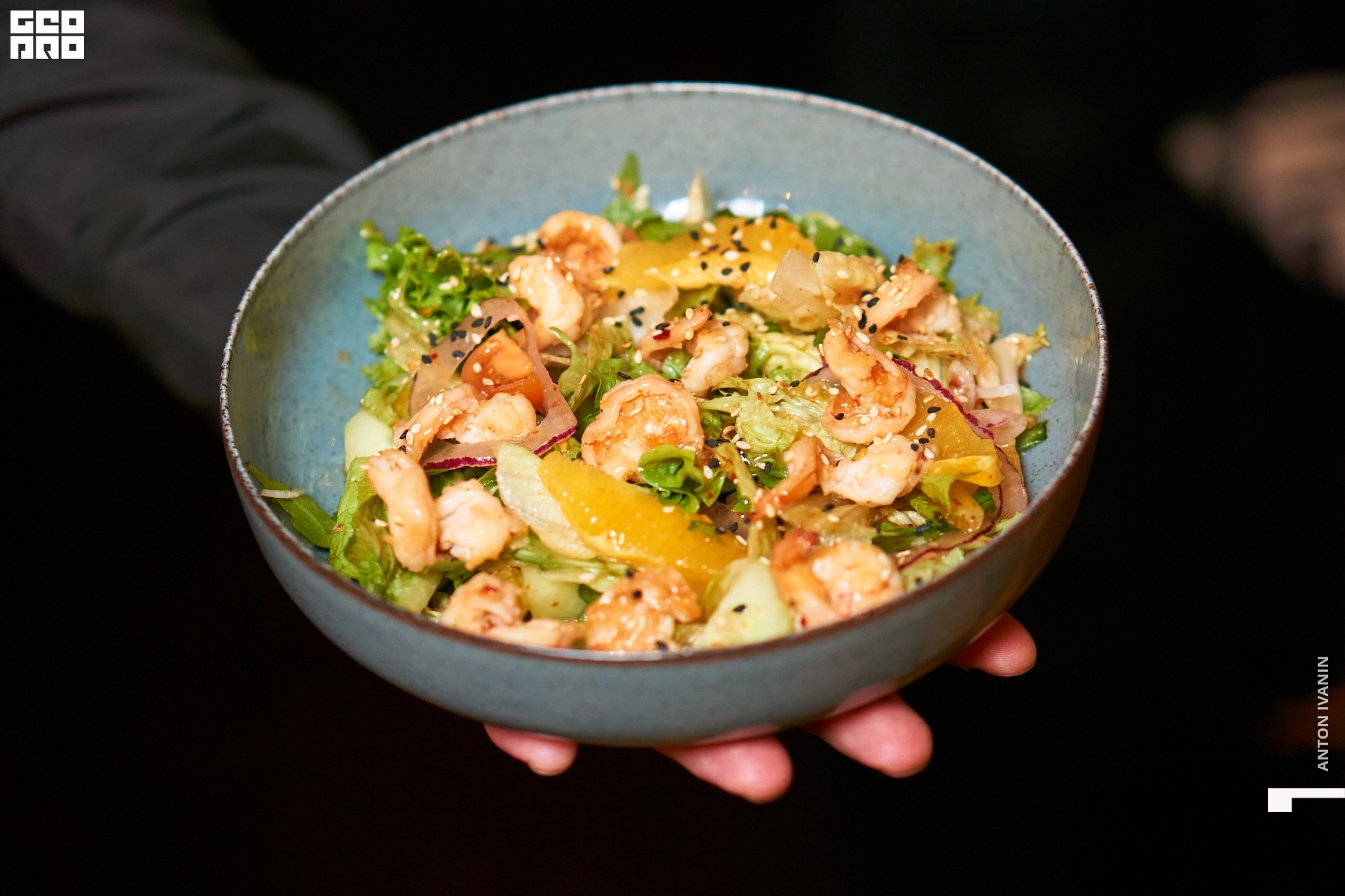 DSC08582 (Копировать).jpg