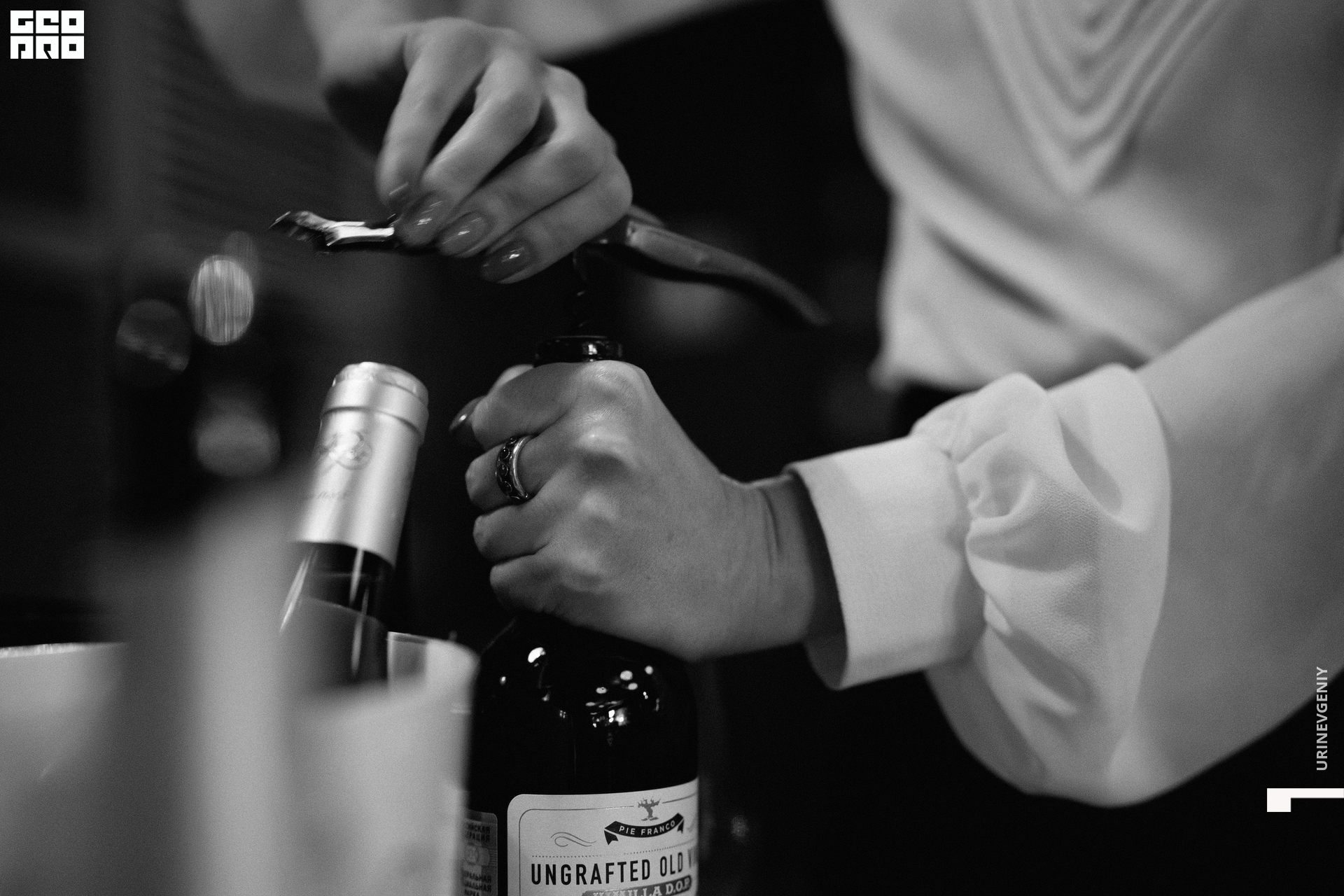 28.10.2021. Kraken (3).jpg