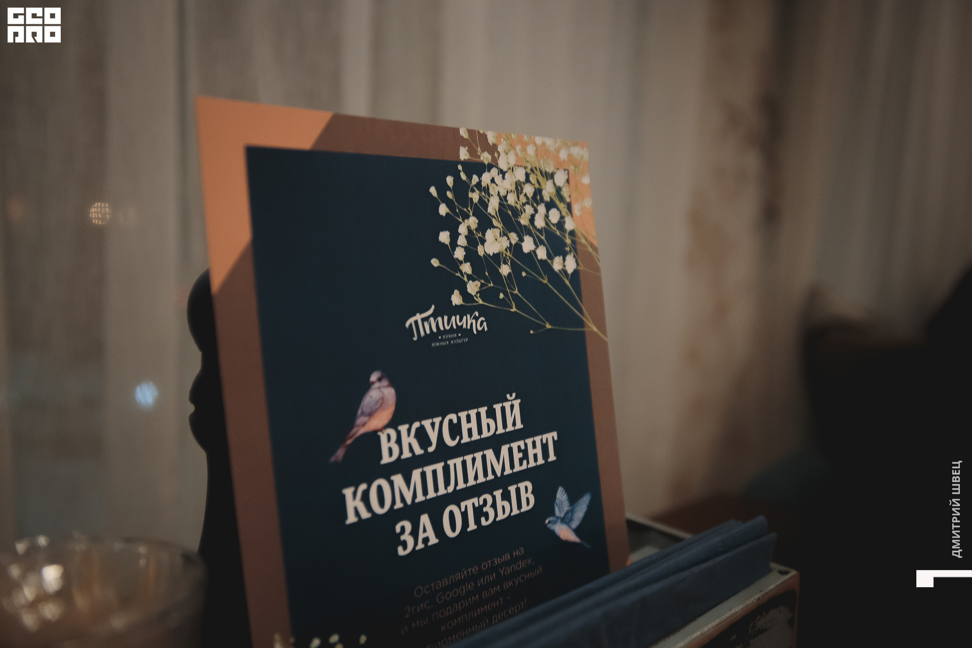 037  2021-11-12 19-11-55 Shvets_.jpg