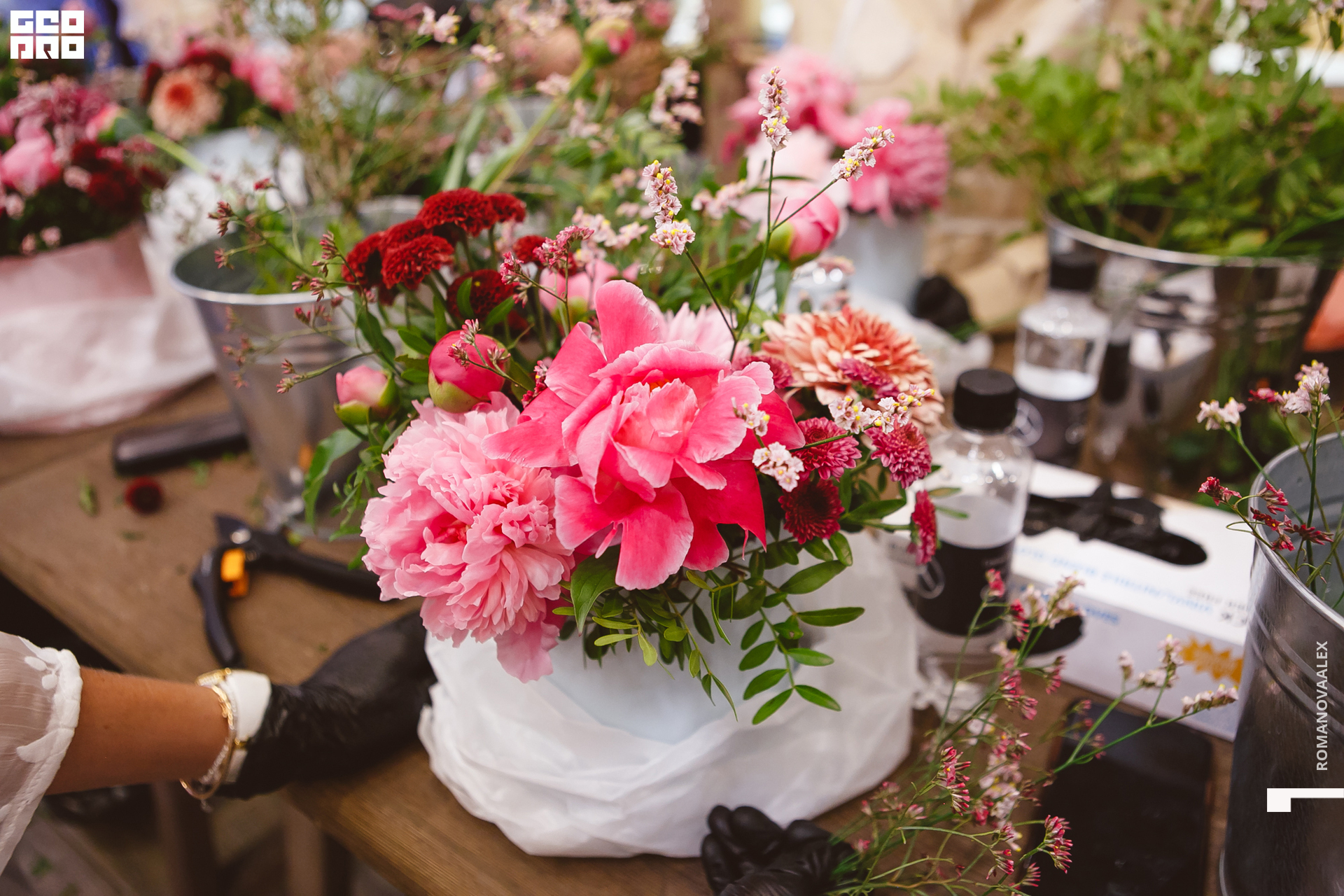 057 210615  210252 _romanovaalex.jpg