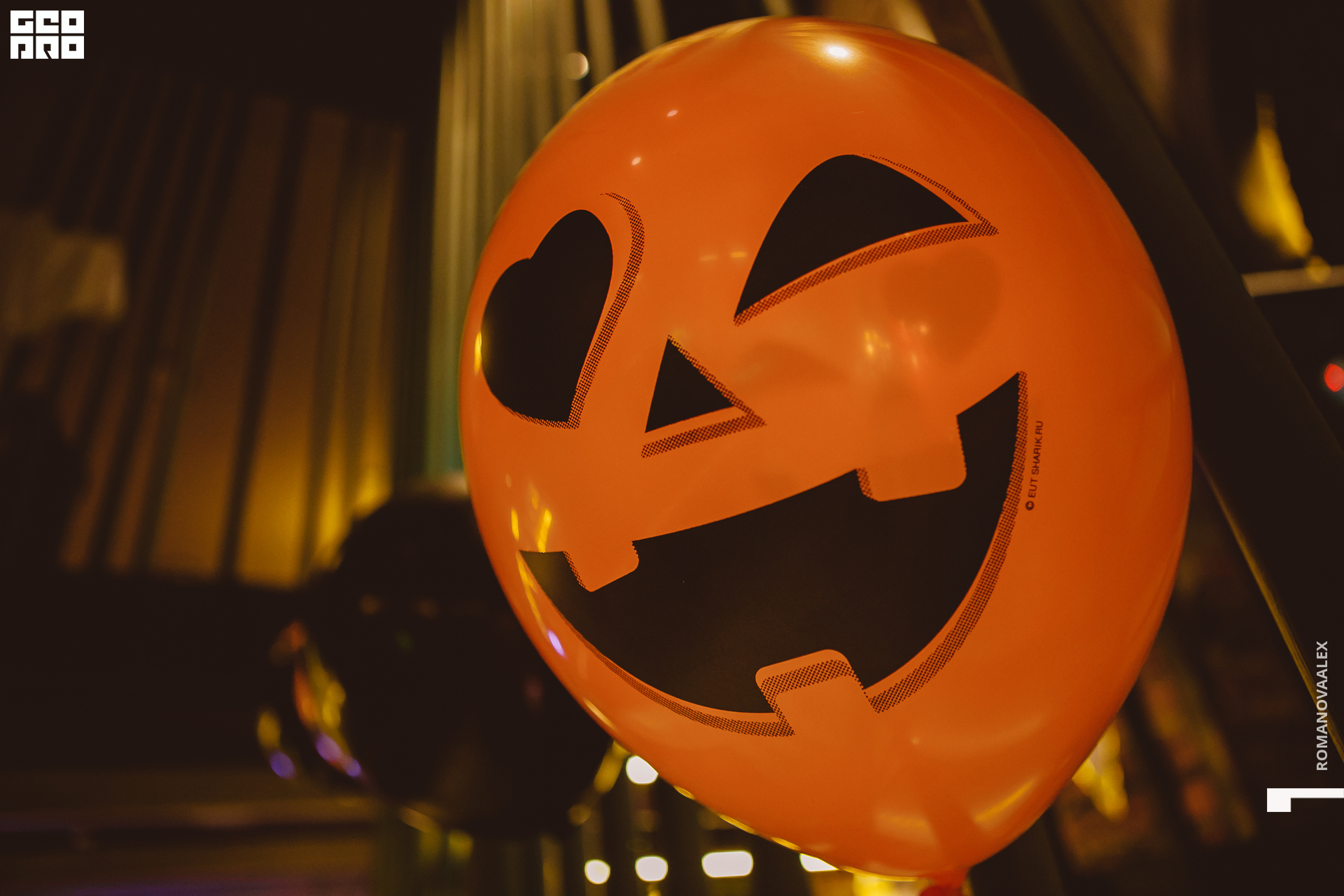 035 311022  014118 @romanovaalex.jpg