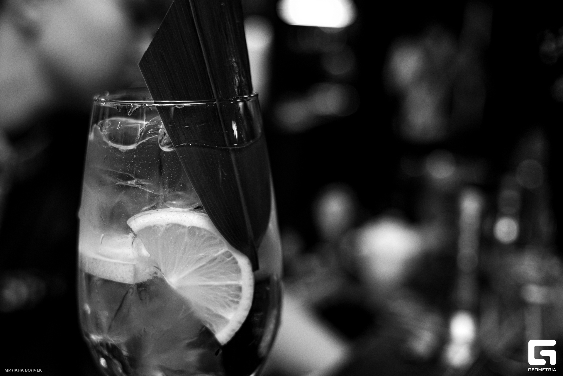 003_20230825 Волчек.jpg