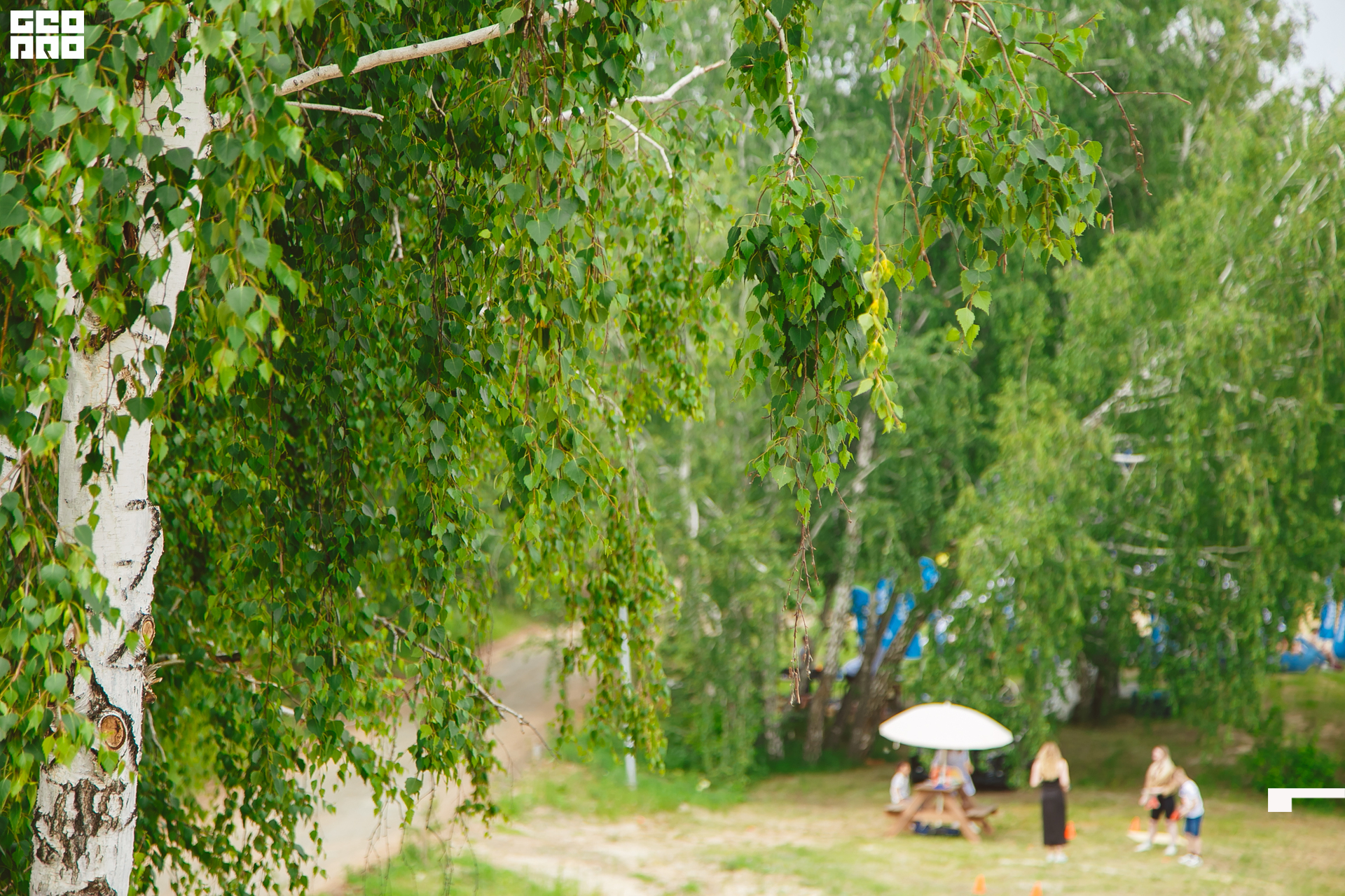 188  06192022  233502 .jpg