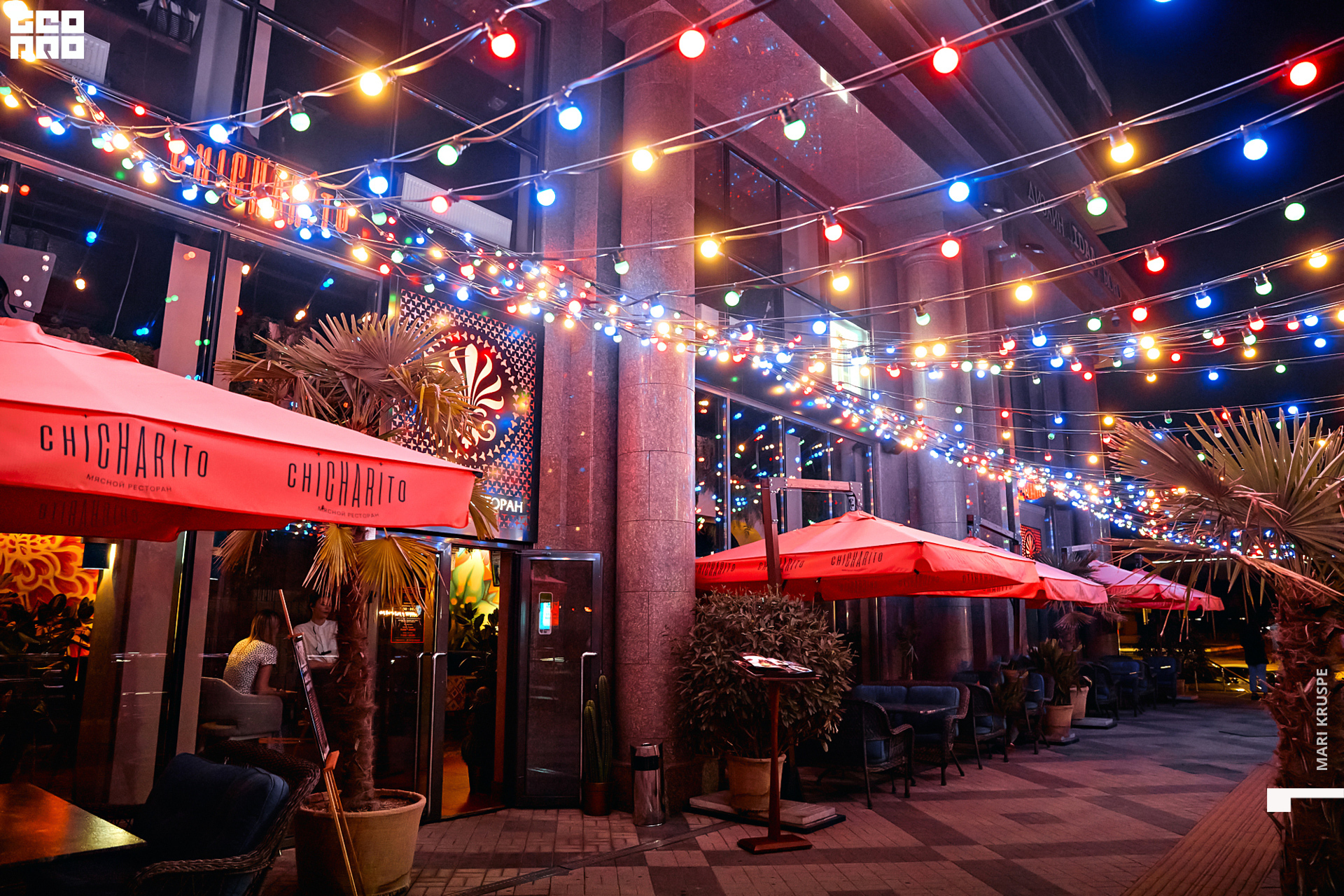 _ARI1446 копия.jpg