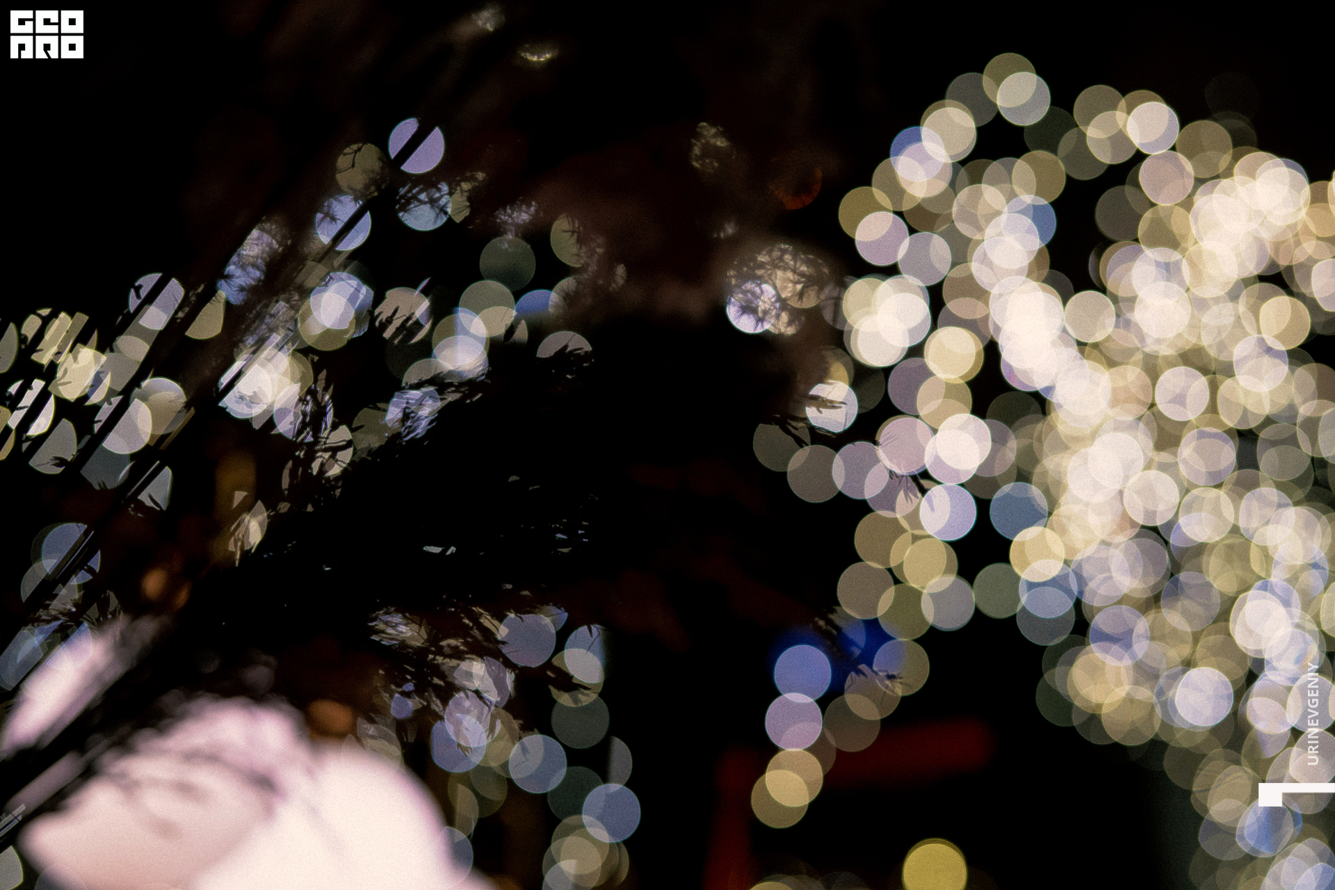 17.12.2020. Хлеб Да Винчик (68).jpg