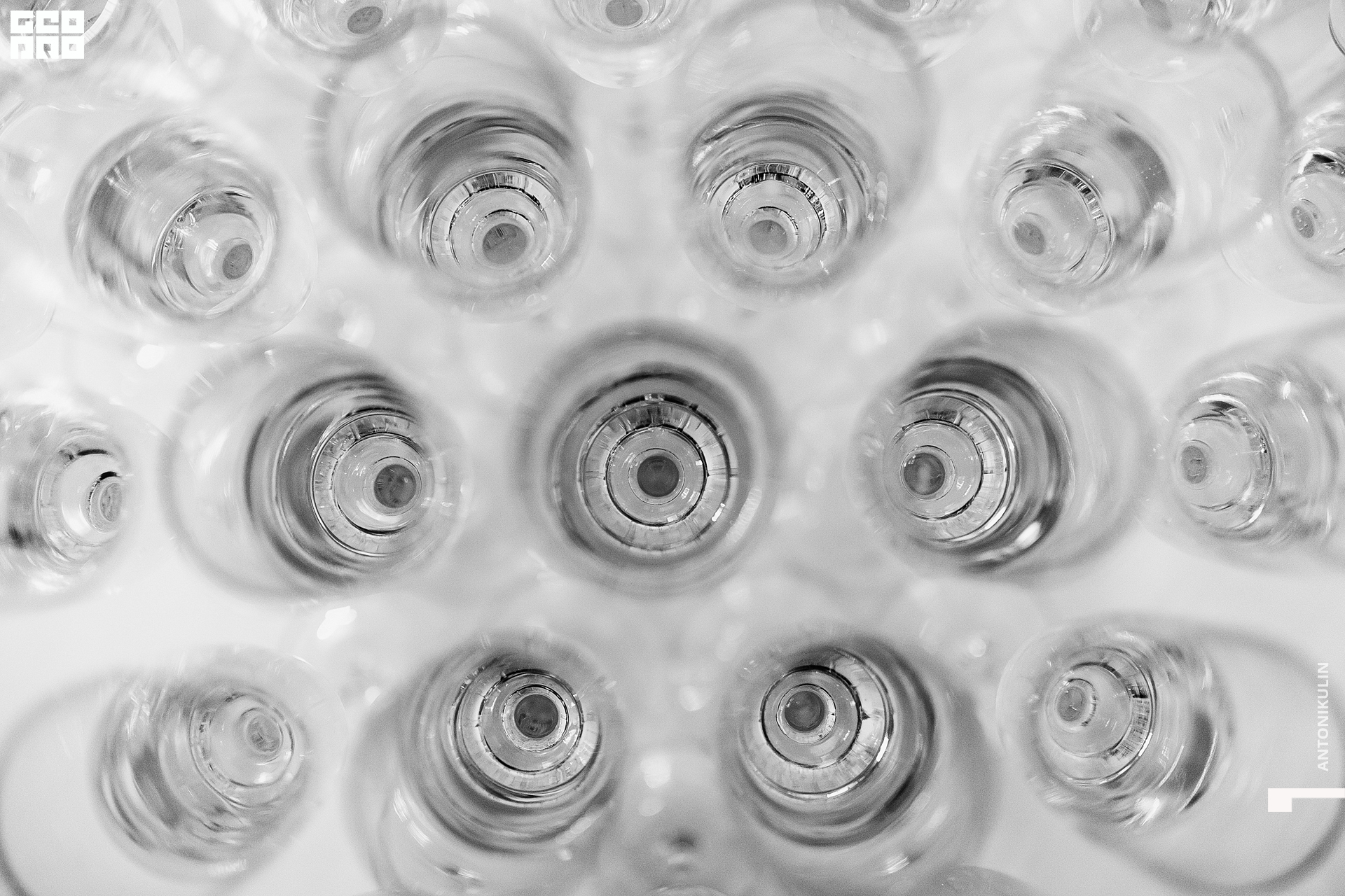 untitled shoot-1679.jpg