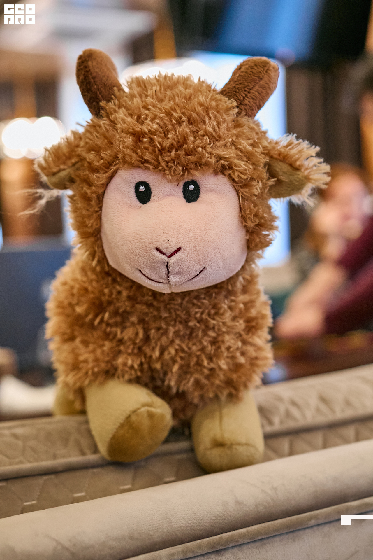 00037 - 2022-03-18 09.57.52 - Alex Bratilov.jpg