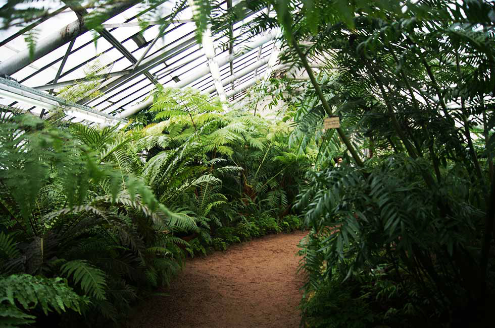 Ботанический сад Петра Великого