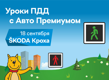«Авто Премиум» проведет уроки ПДД в школах Петербурга