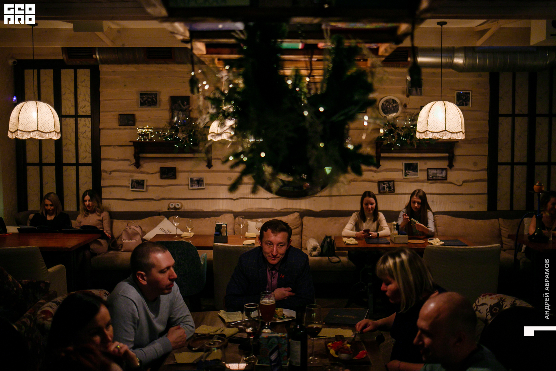 061219 Птичка Абрамов  0003.jpg