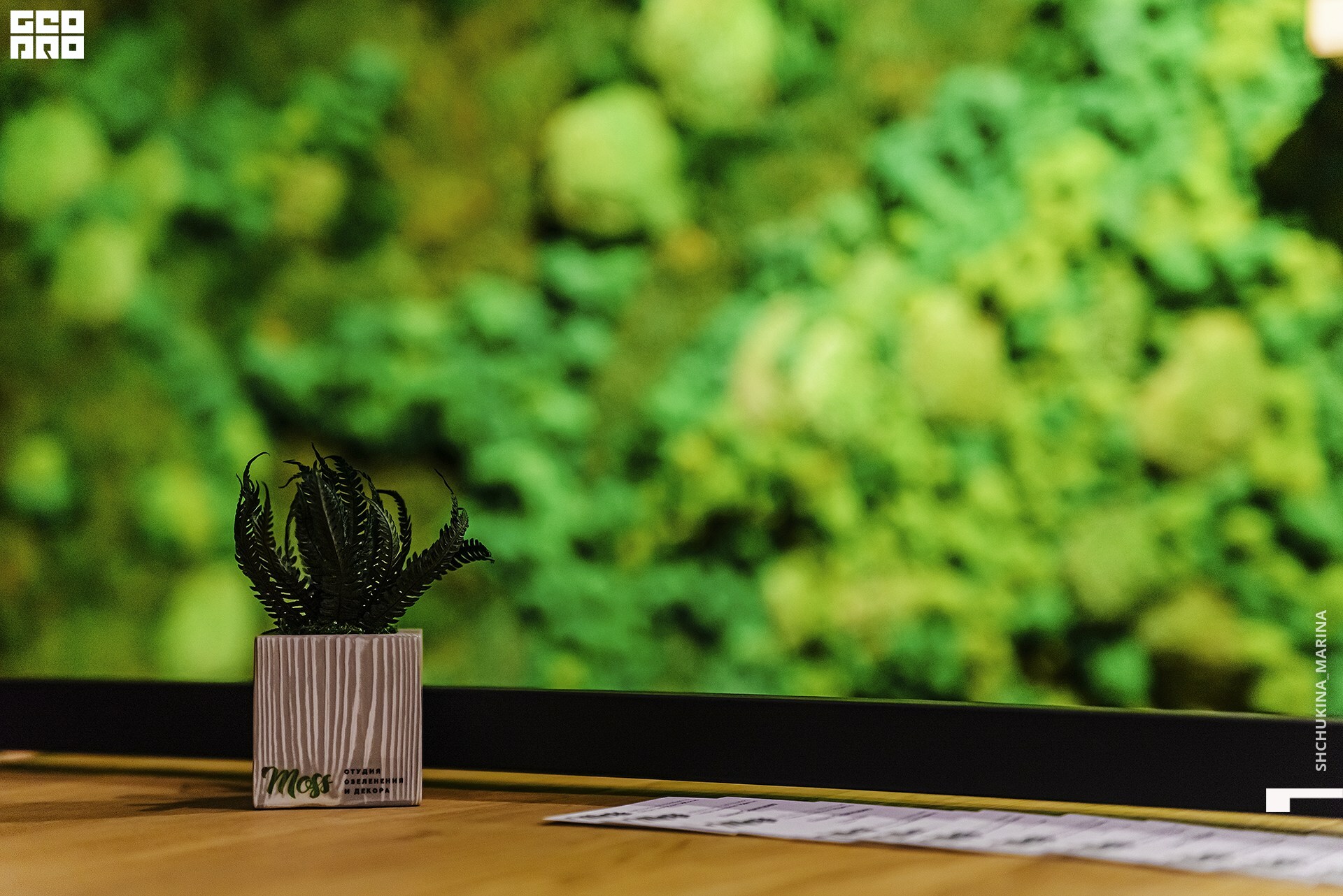  31.10.2019 цвет-141.jpg