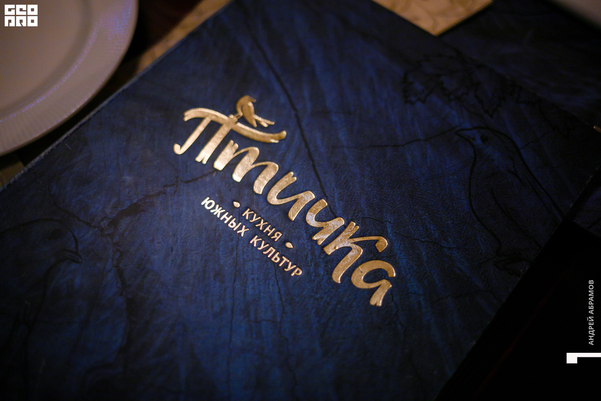 131219 Птичка и 5561 Абрамов для загрузки  0057.jpg