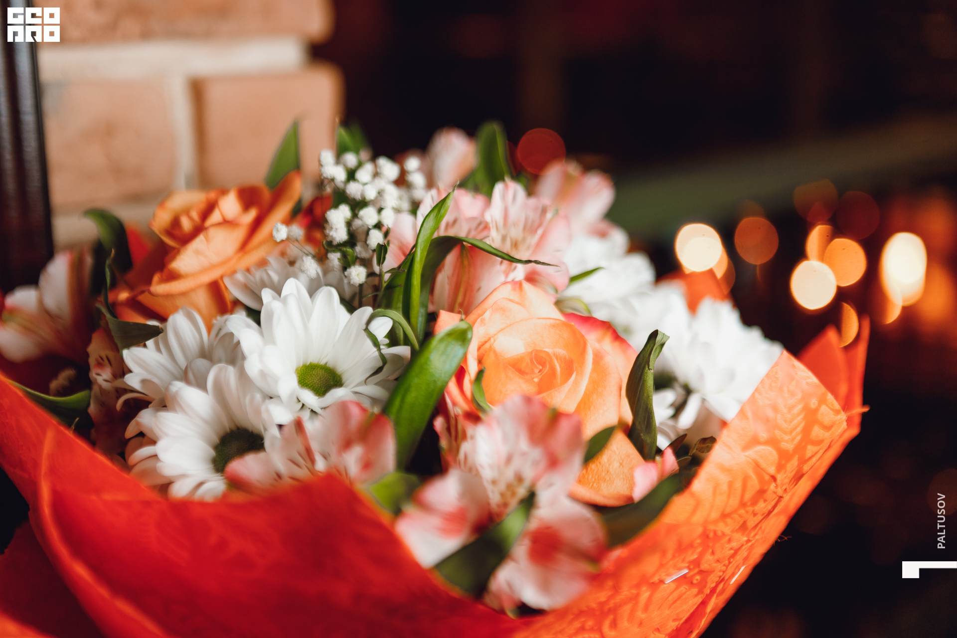 002-2020-01-24-23-03-44 - Paltusov.jpg