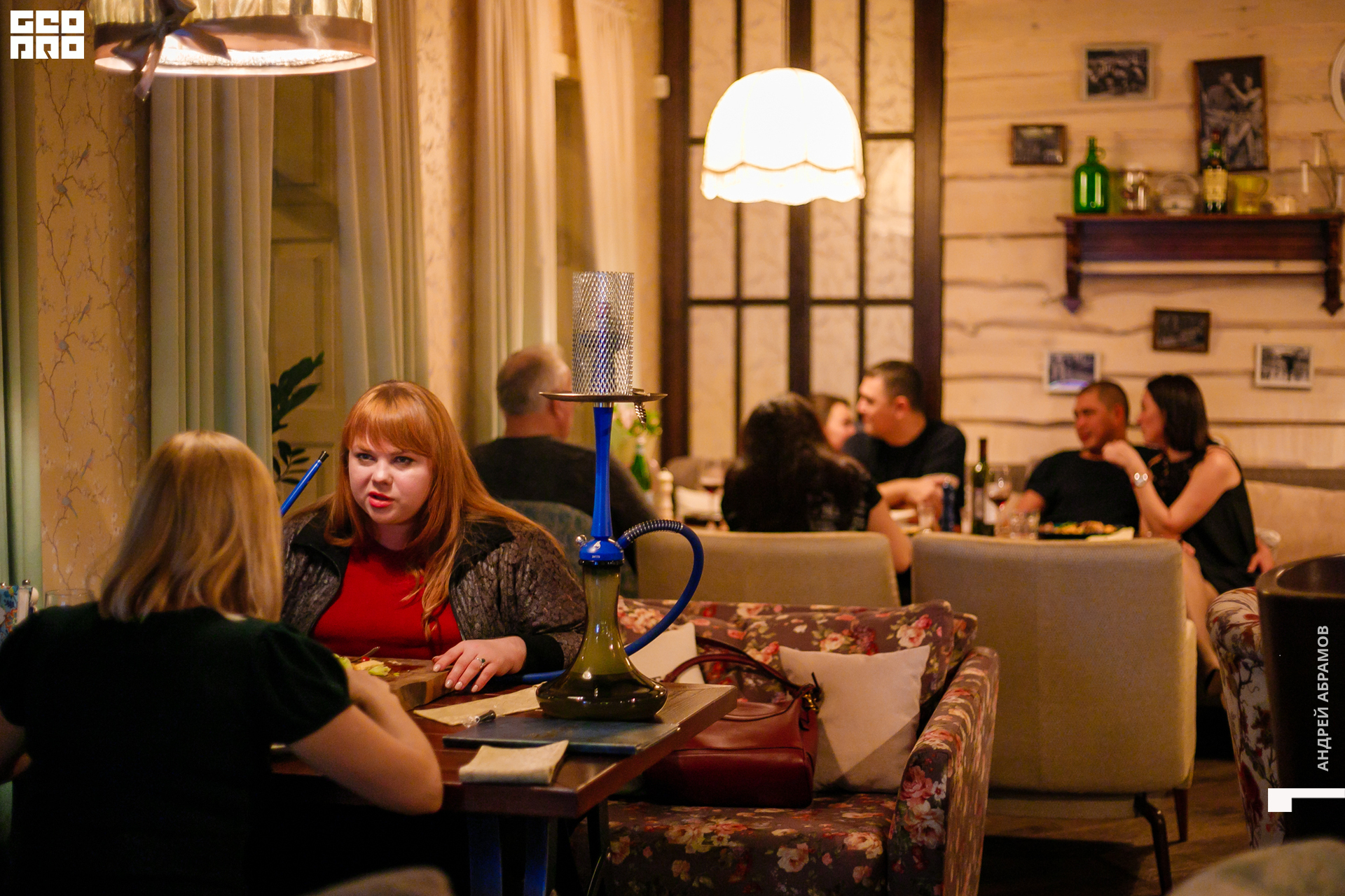 111019 Птичка Абрамов0041.jpg