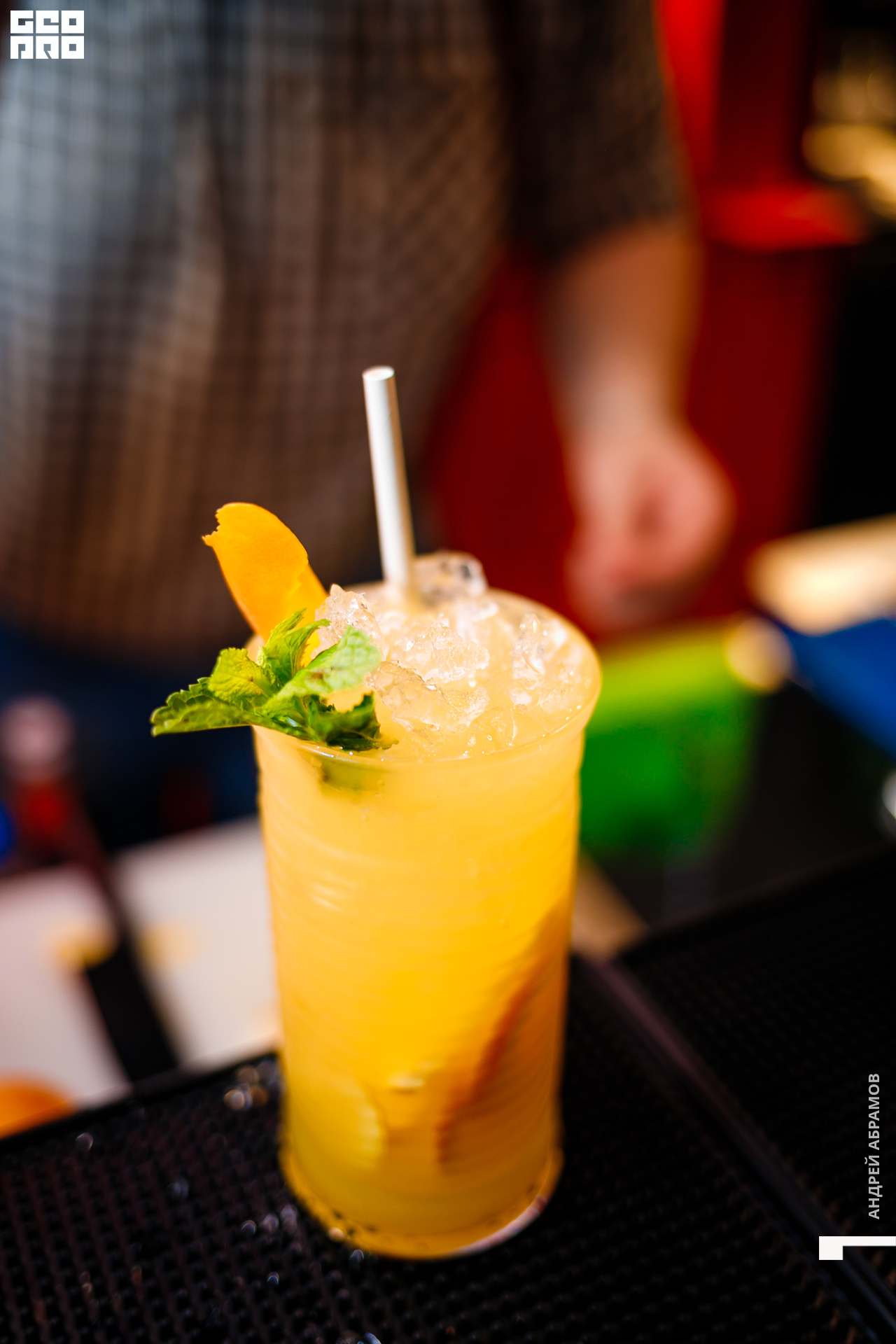 111019 Птичка Абрамов0058.jpg