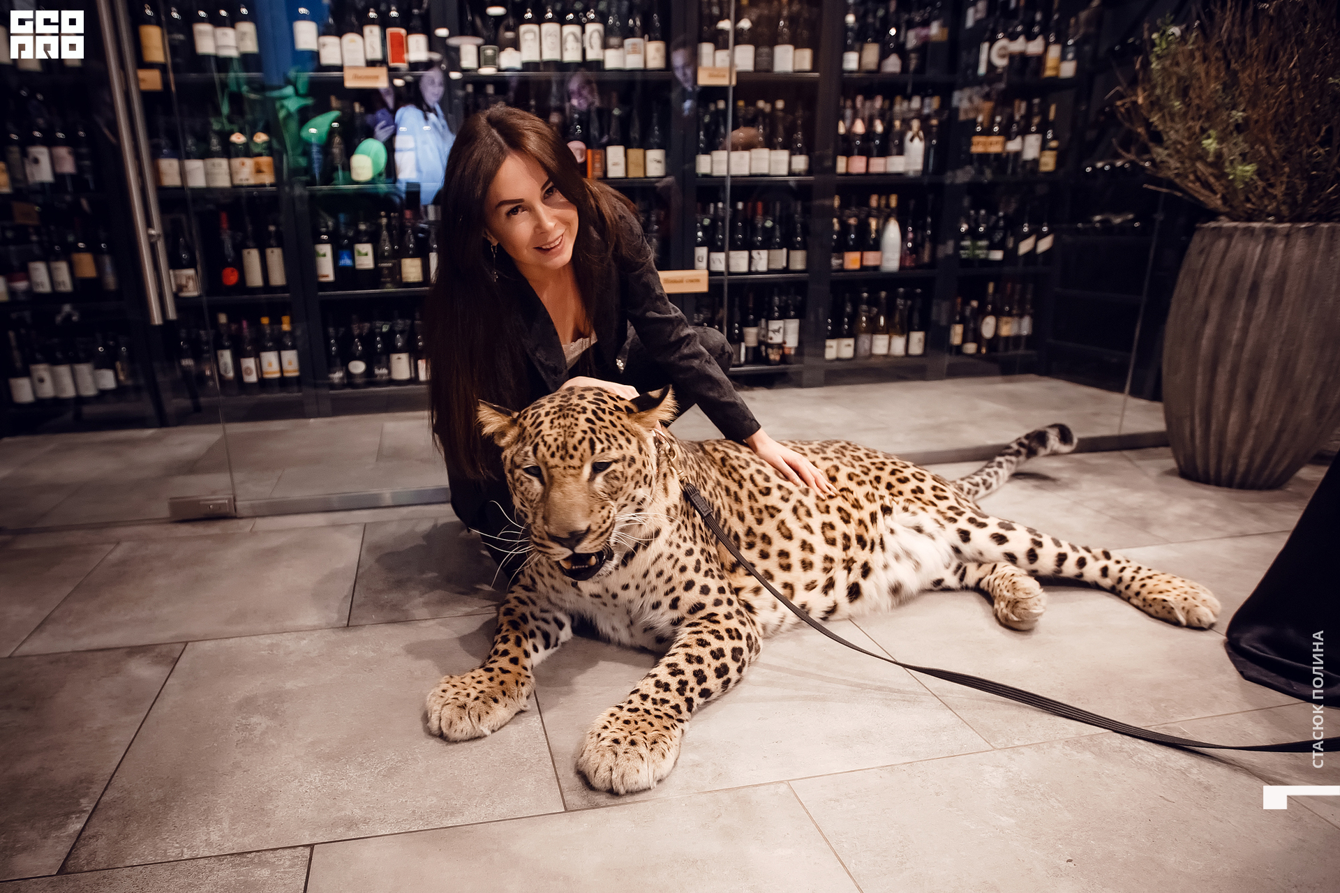 кино вино и домино - 141.jpg