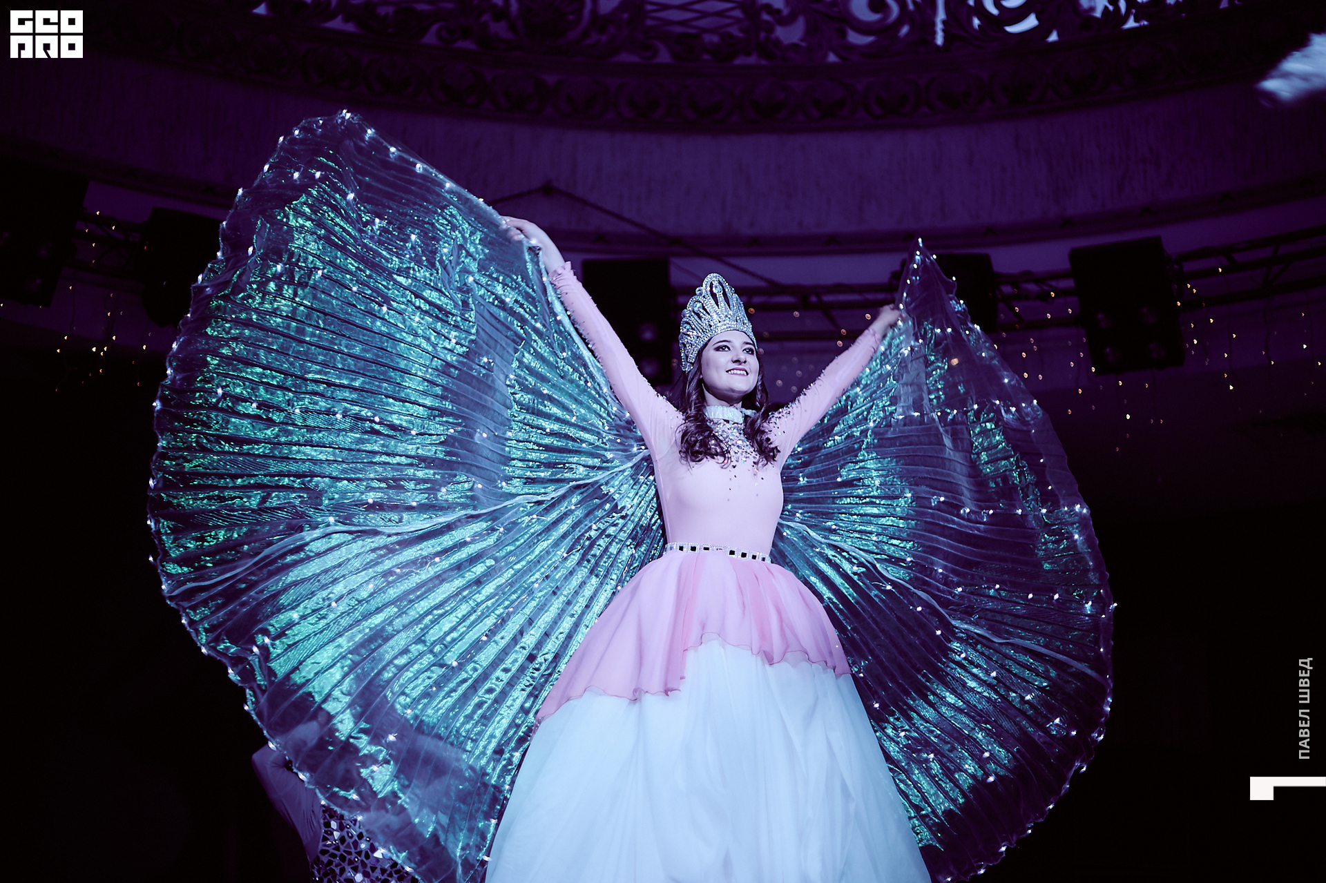 2019-11-06 11-30-00_SHVED_0545.jpg