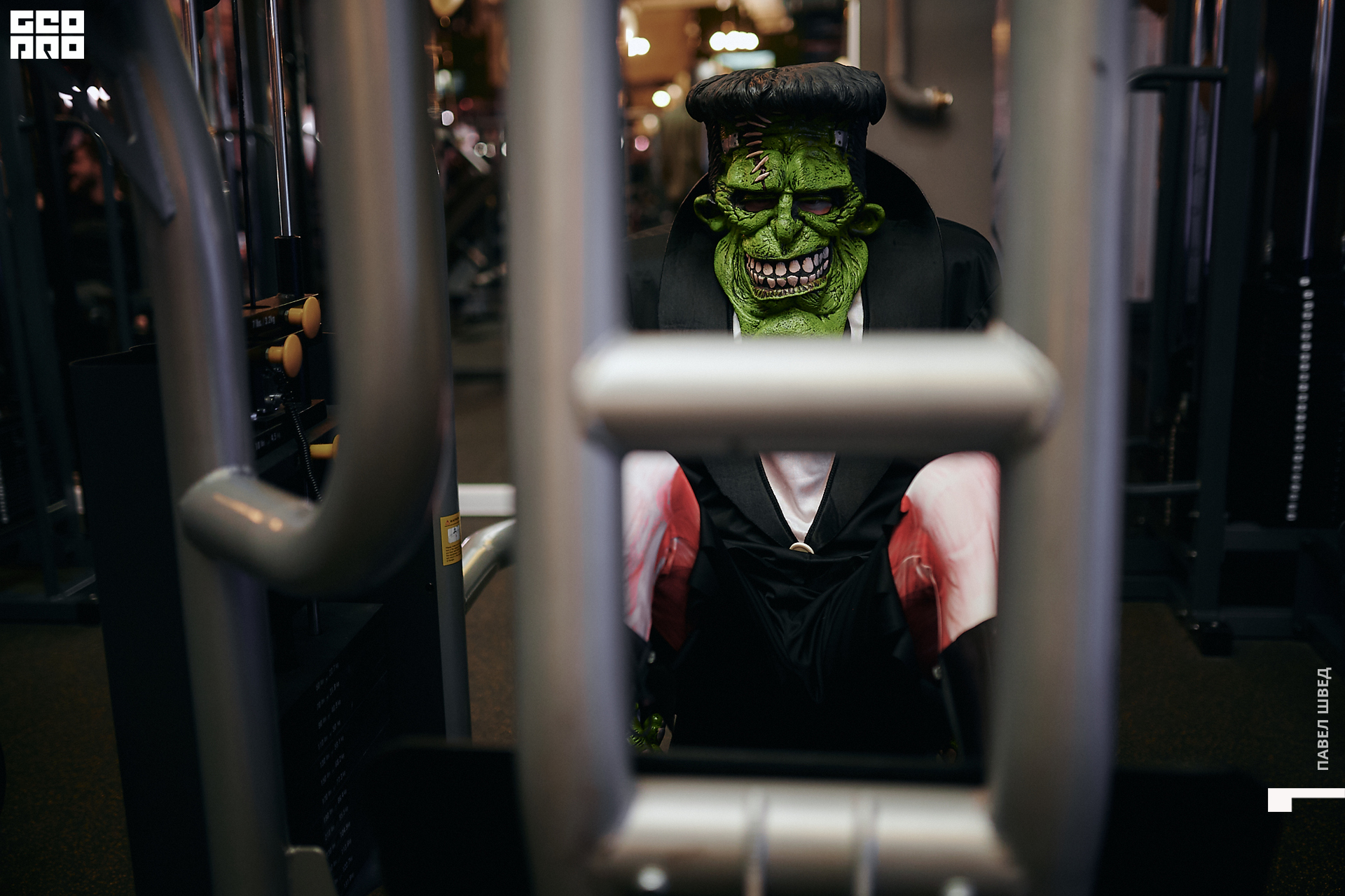 2019-11-01 21-00-00_SHVED-0146.jpg