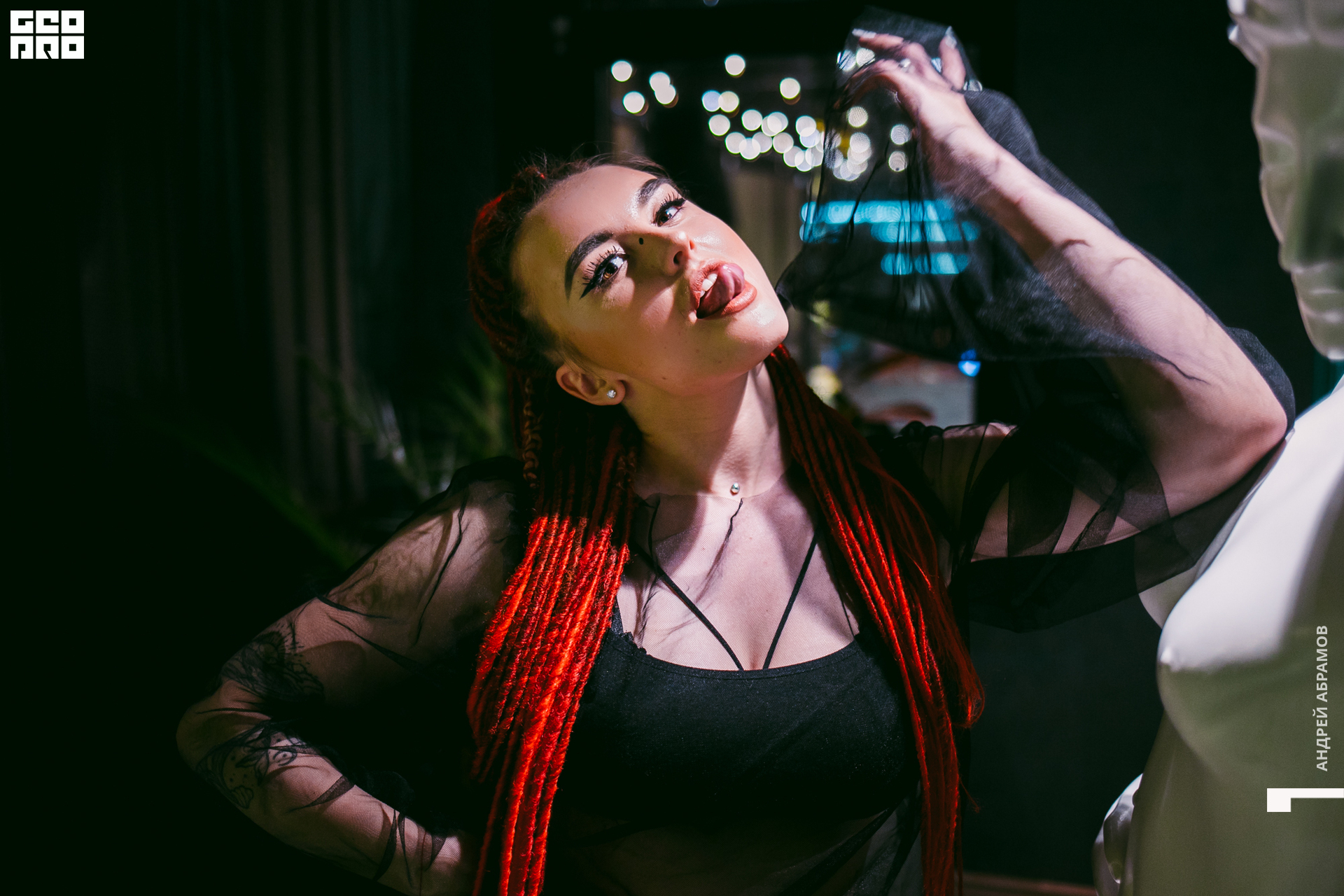 131219 Птичка и 5561 Абрамов для загрузки  0133.jpg