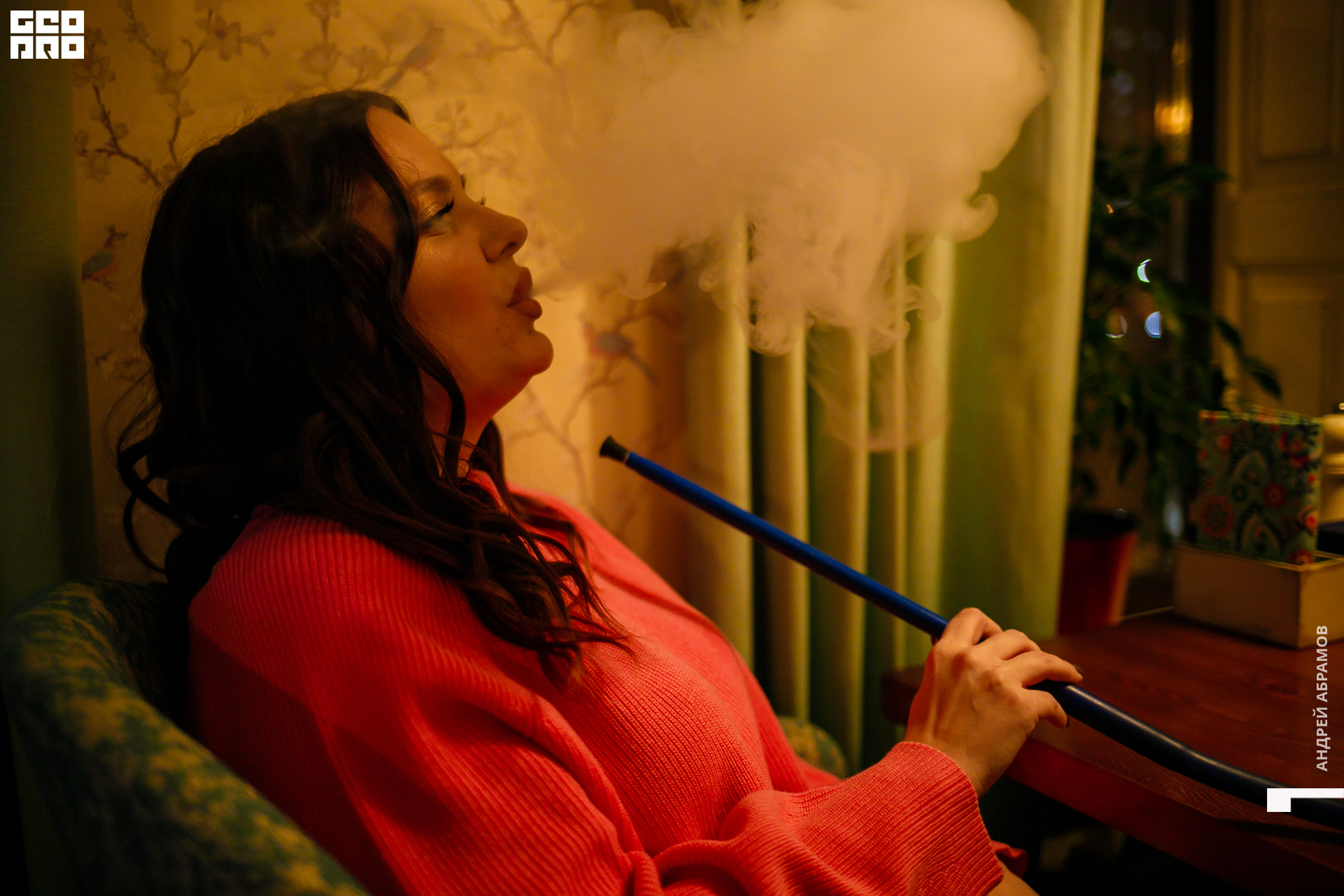 221119 Птичка Абрамов 0089.jpg