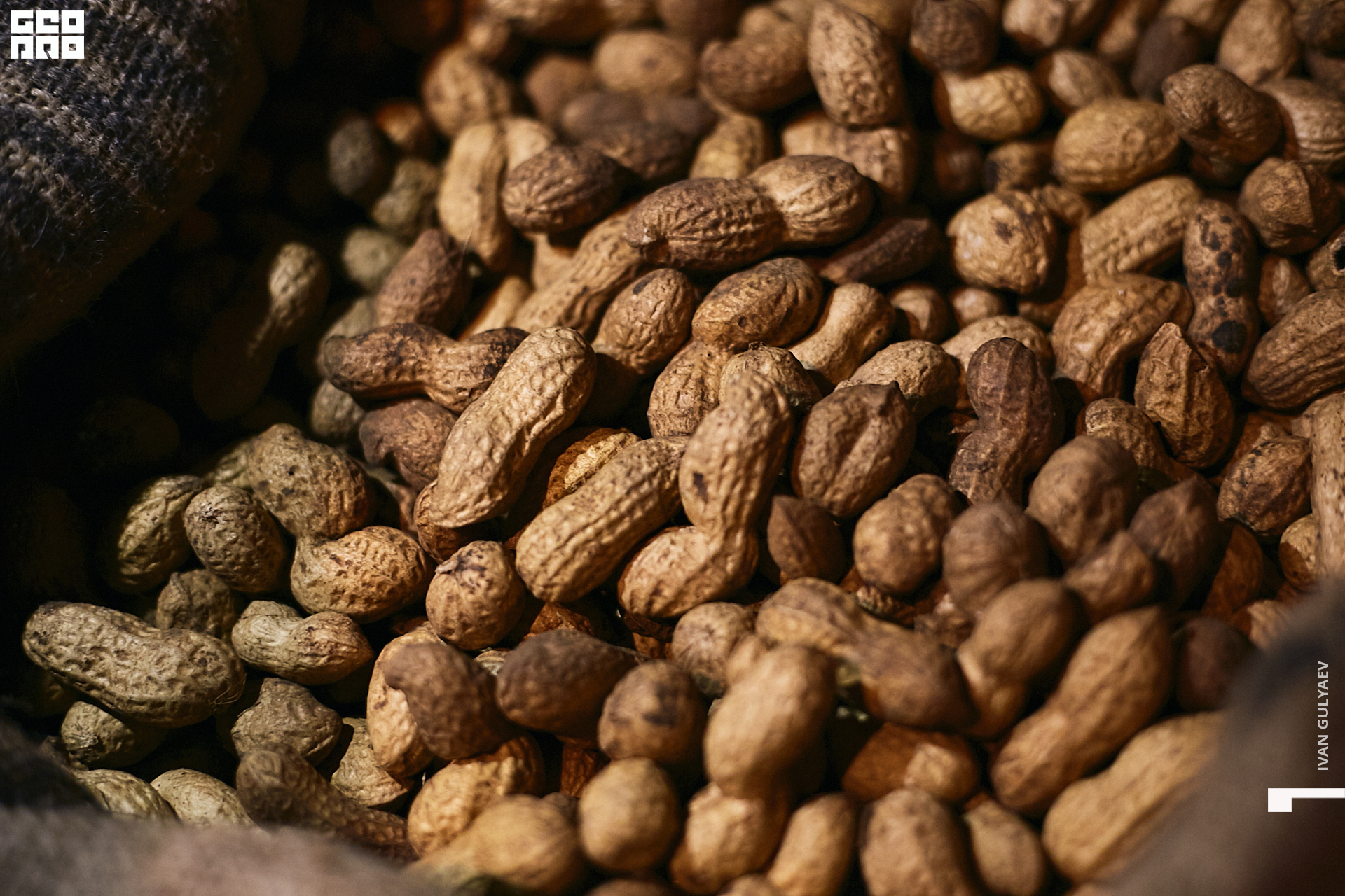 0067 _08112019_204512_Gulyaev.jpg