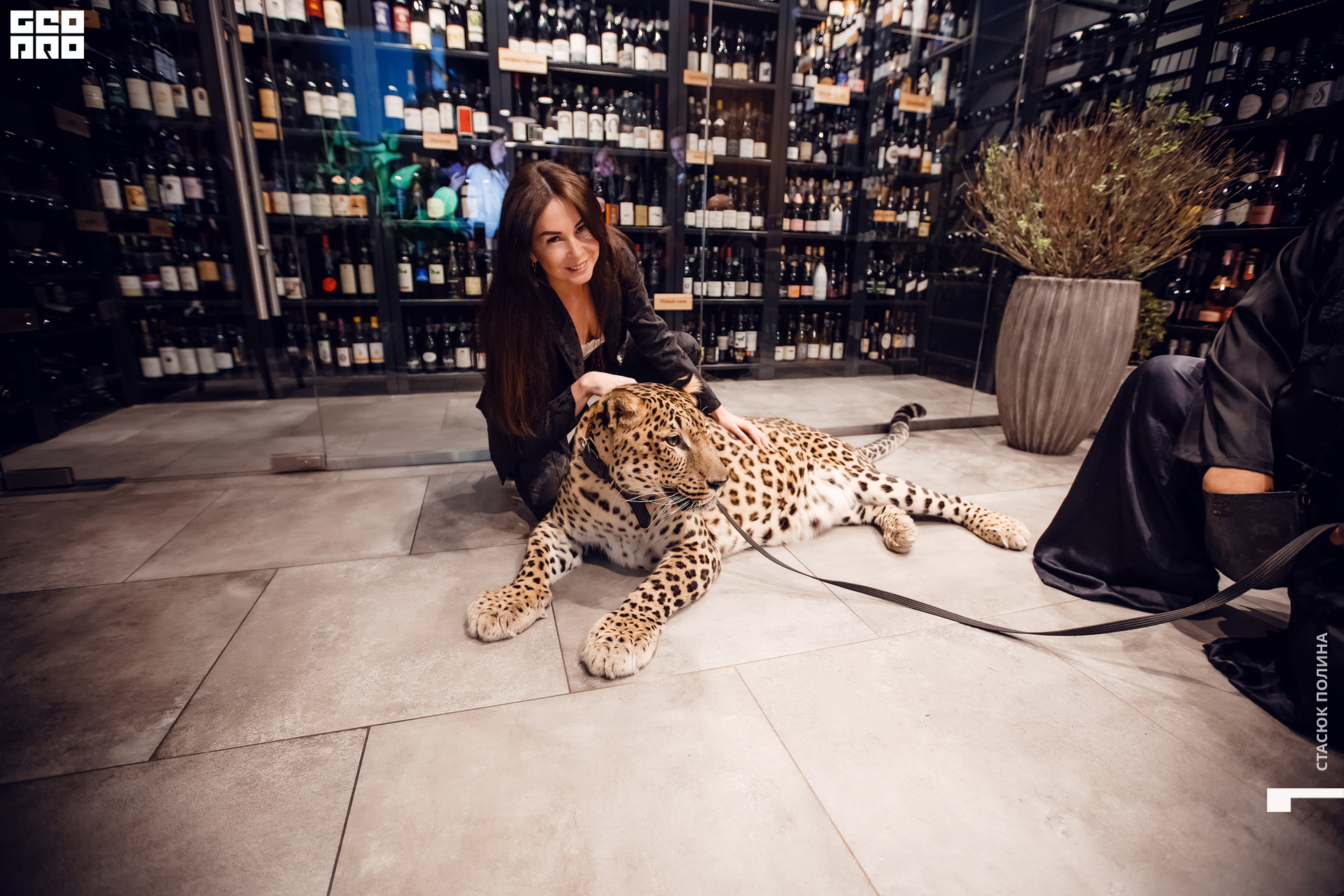 кино вино и домино - 142.jpg