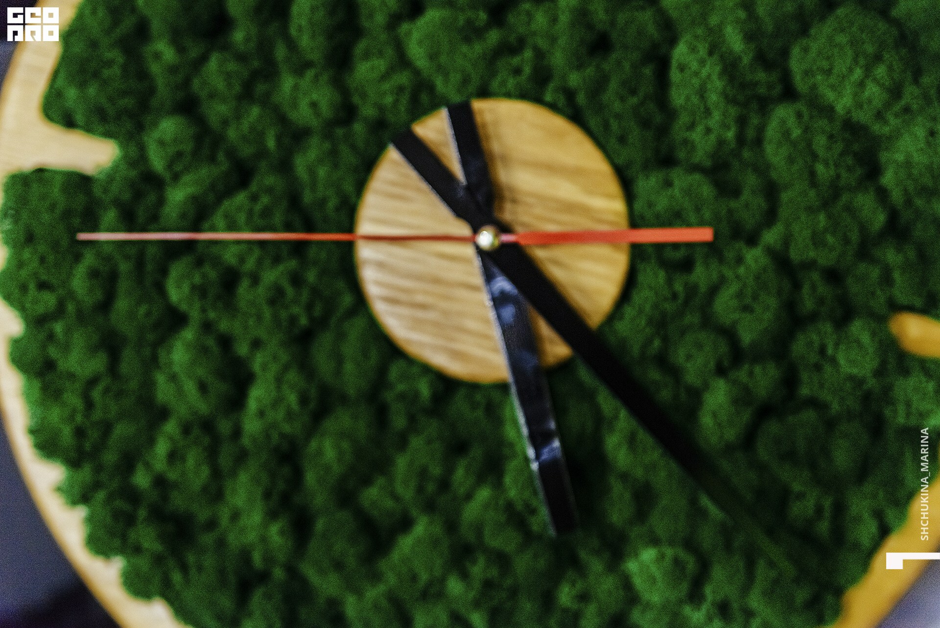  31.10.2019 цвет-148.jpg