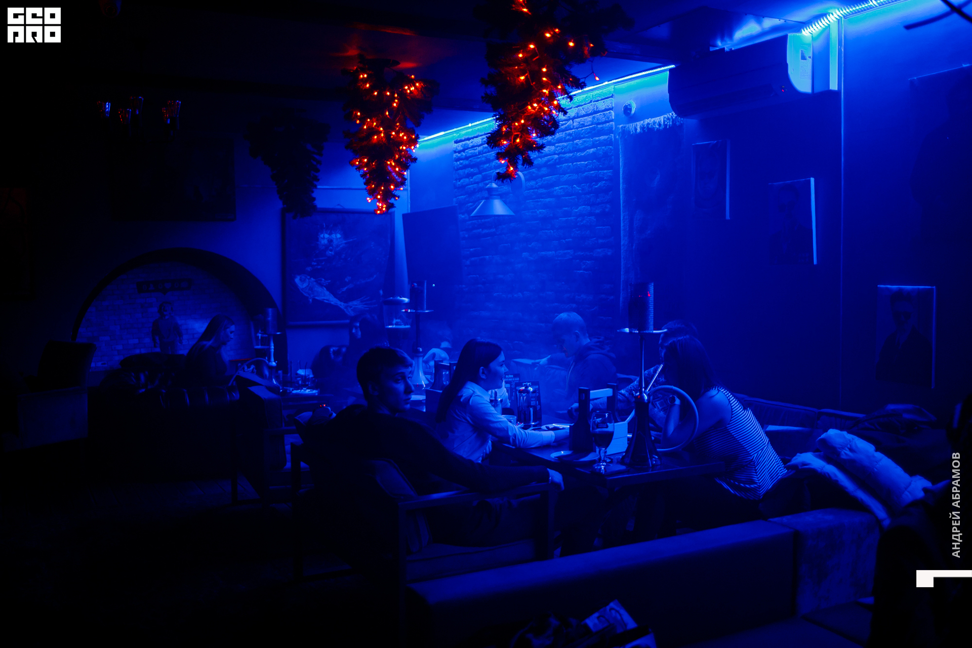 231119 Шишка Абрамов 0009.jpg