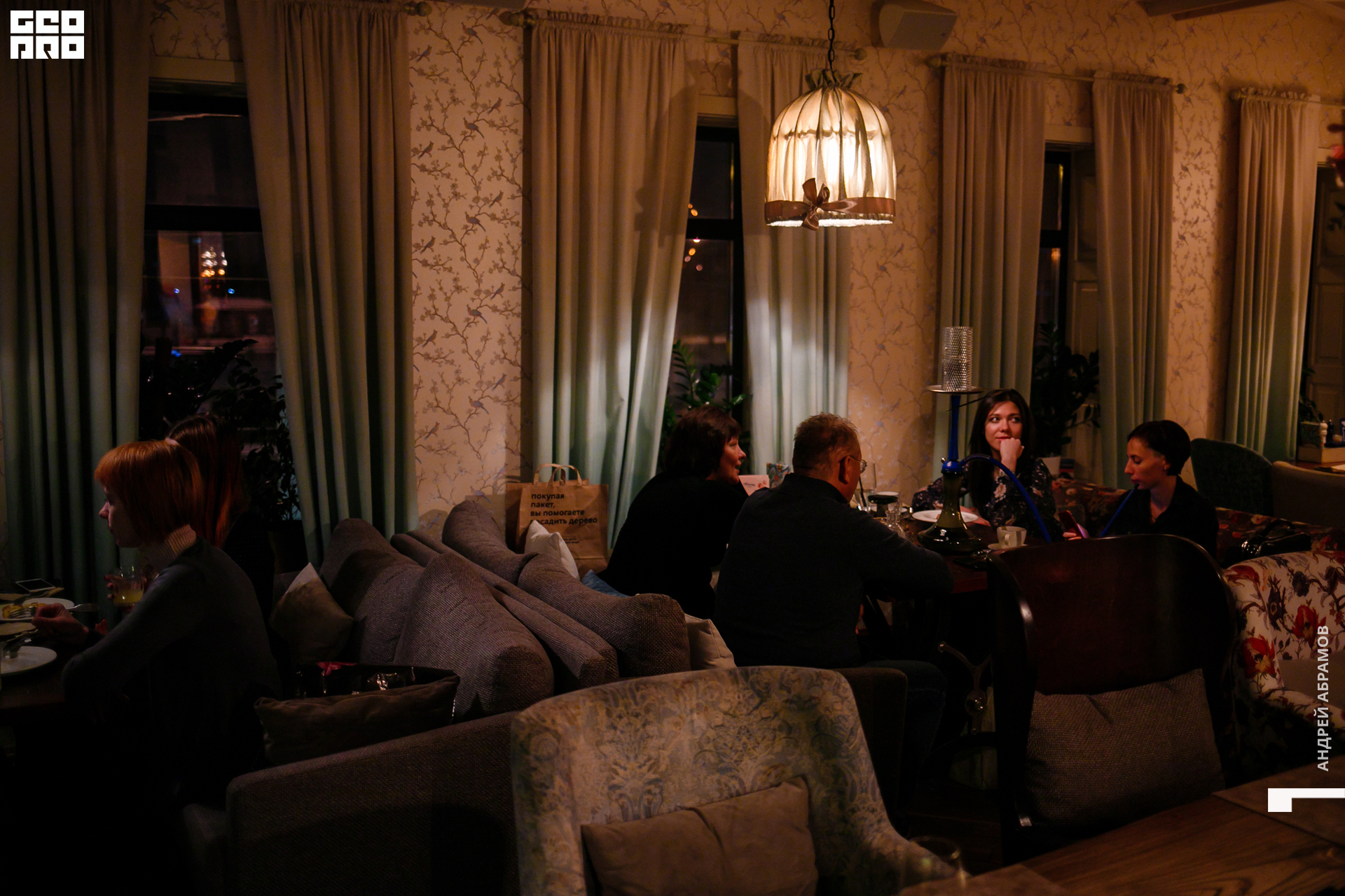 151119 Птичка Абрамов 0035.jpg