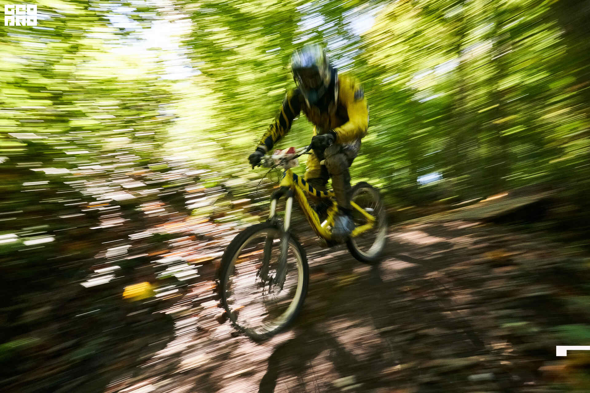 12_10_19 Мегалавина_034.jpg