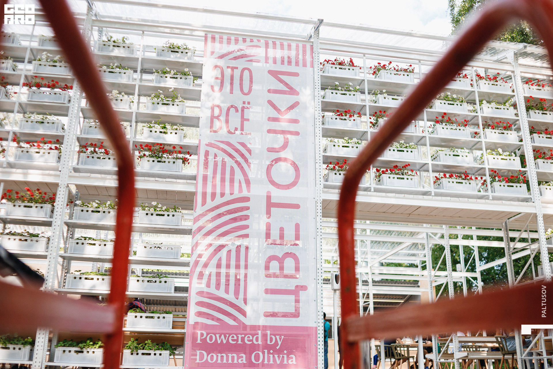 087-2020-07-25-16-56-56 - Paltusov.jpg