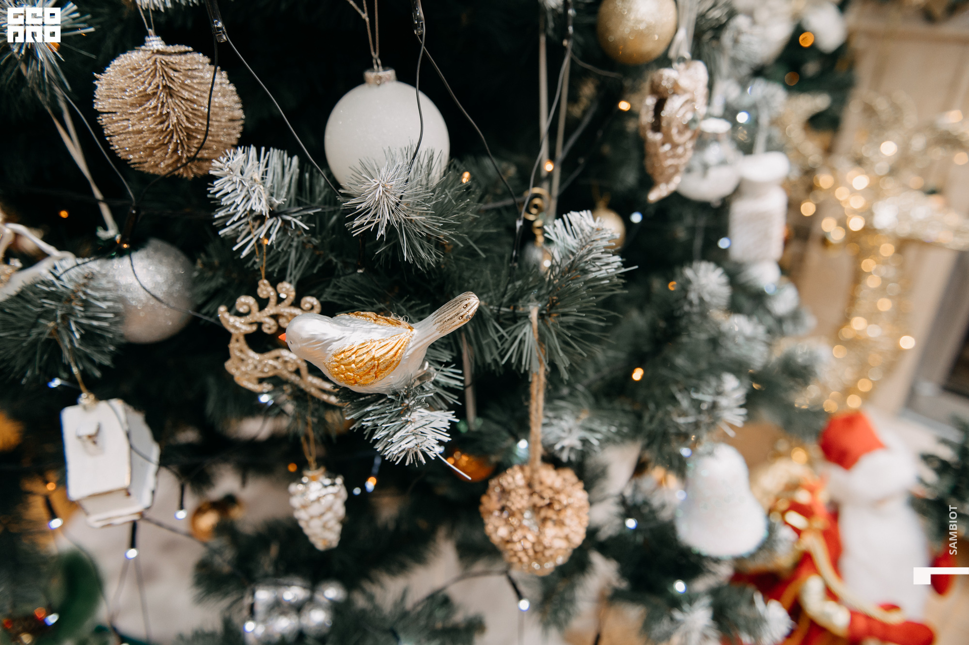 untitled (189 of 195).jpg