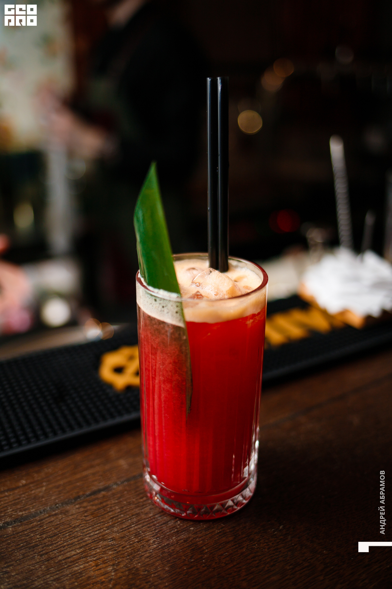 011119 Птичка Абрамов 0048.jpg