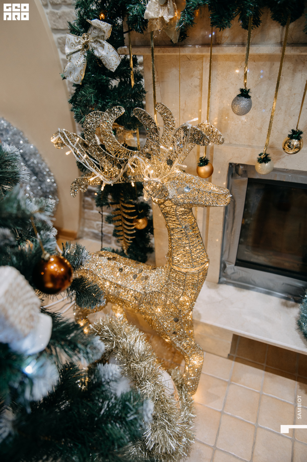 untitled (20 of 195).jpg