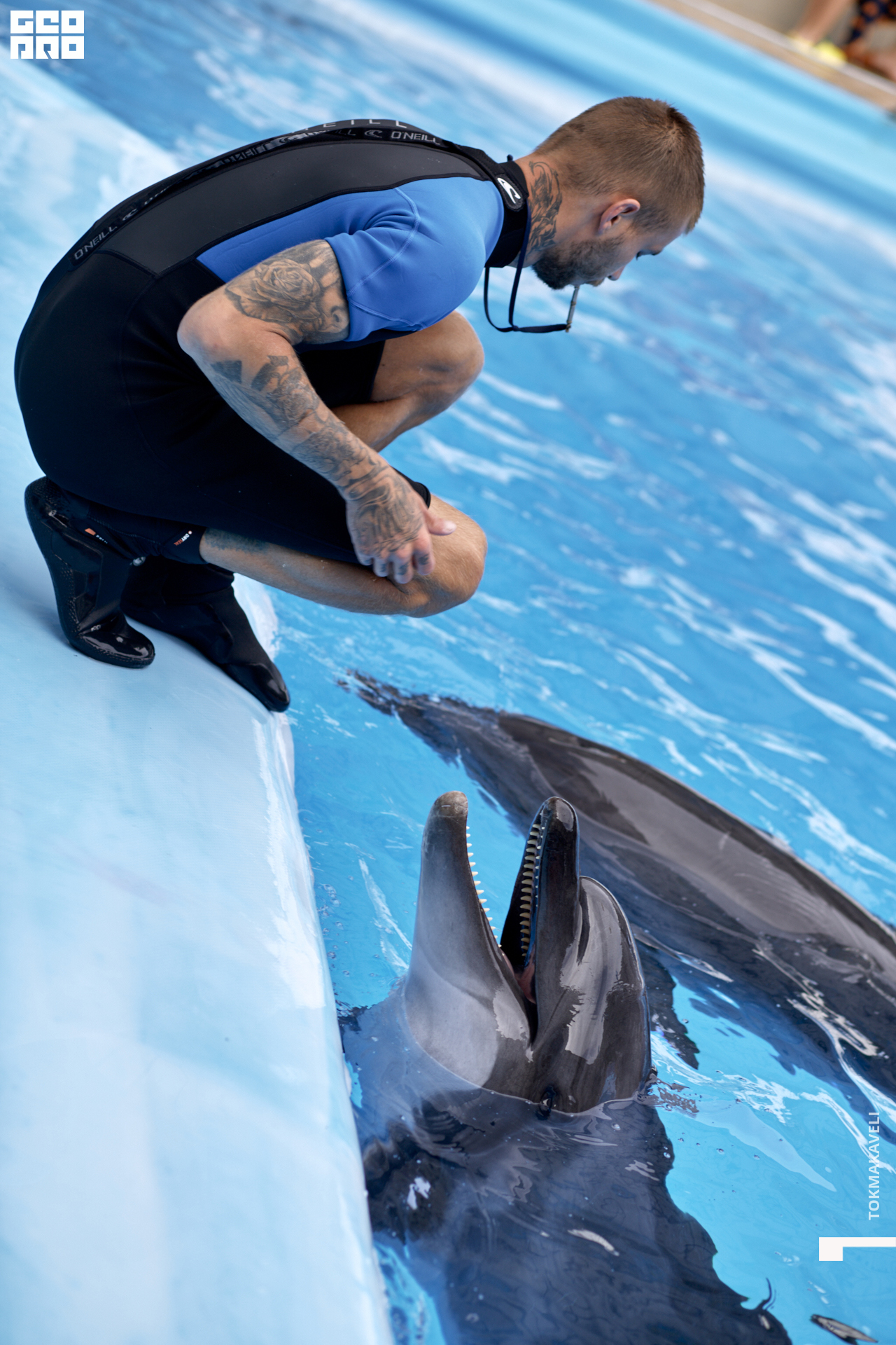 tokmakaveli 1529.jpg