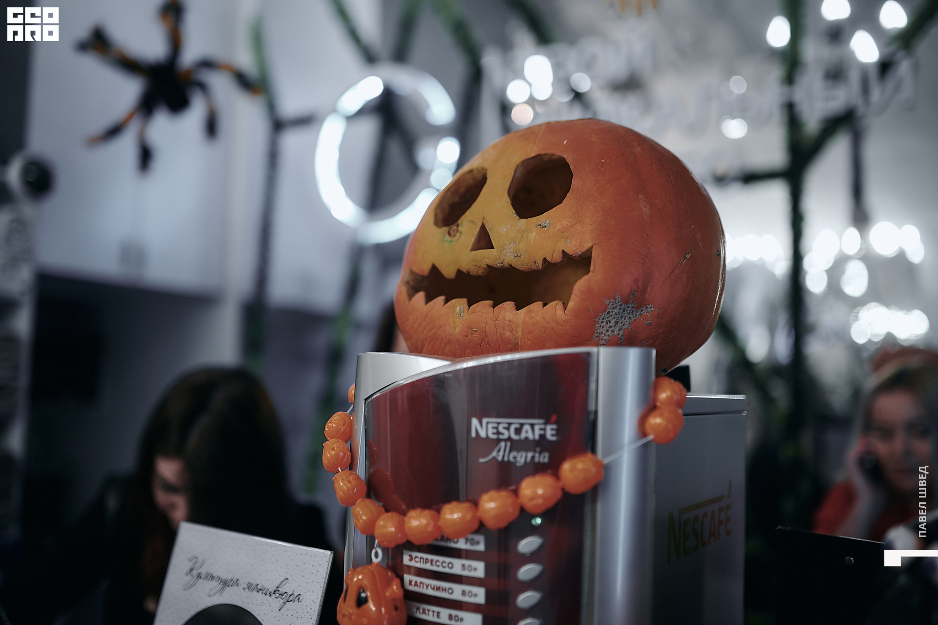 2019-11-01 21-00-00_SHVED-0164.jpg