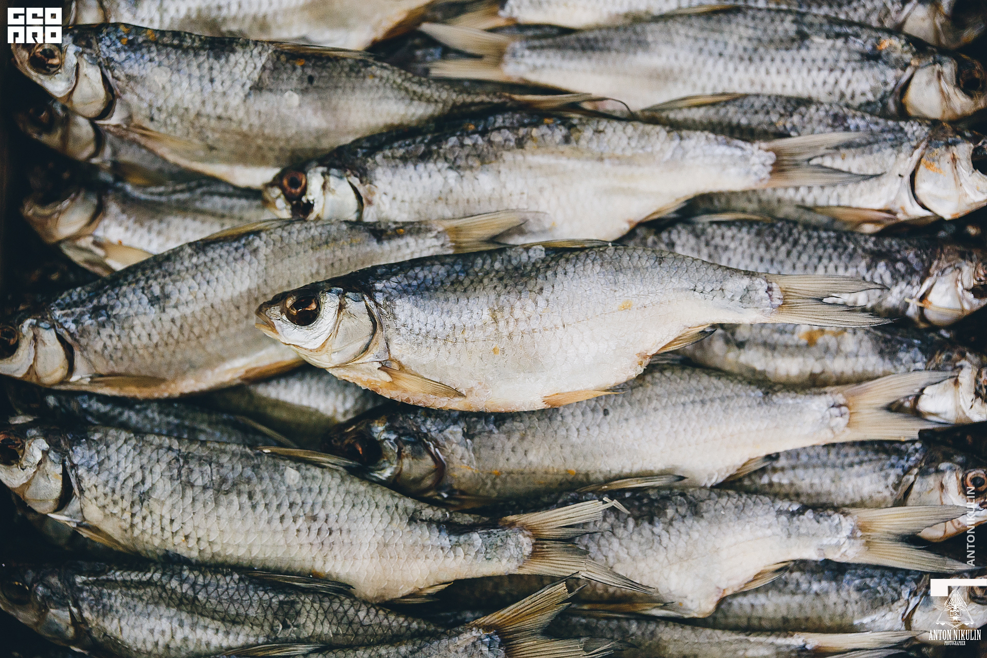 untitled shoot-9775.jpg