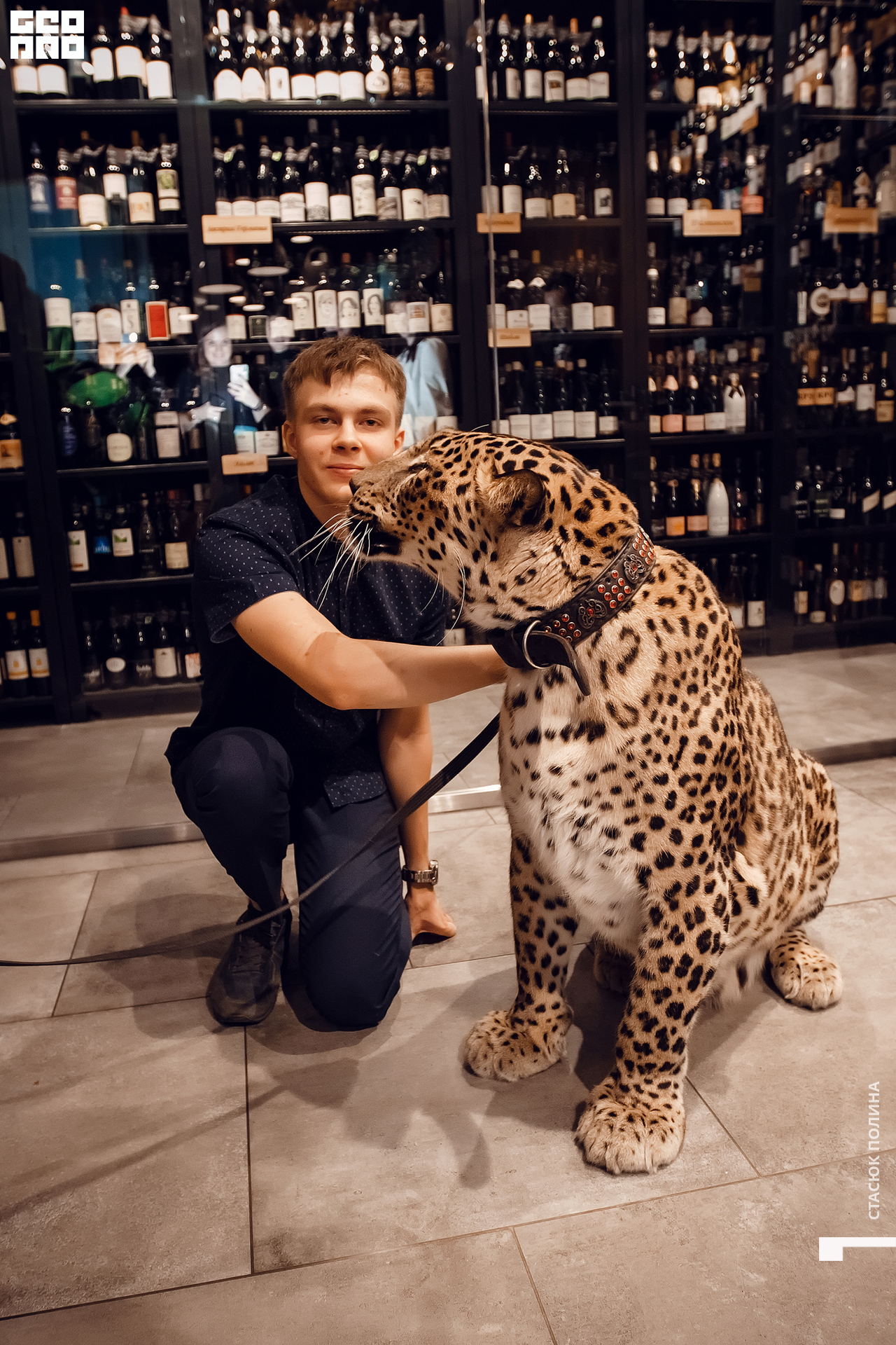 кино вино и домино - 180.jpg