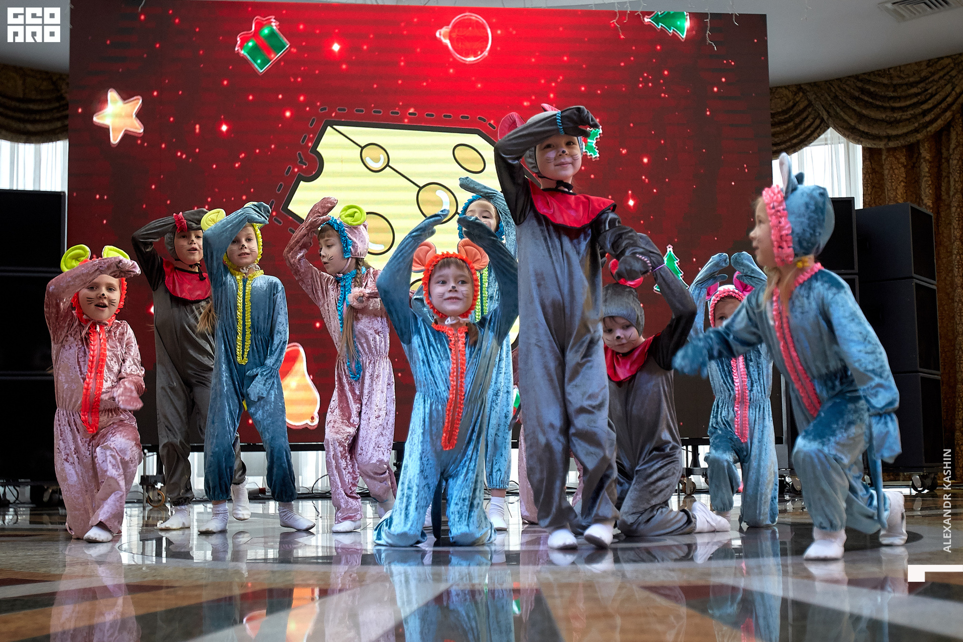 2019-12-21 11-00-00_Kashin_0063.jpg