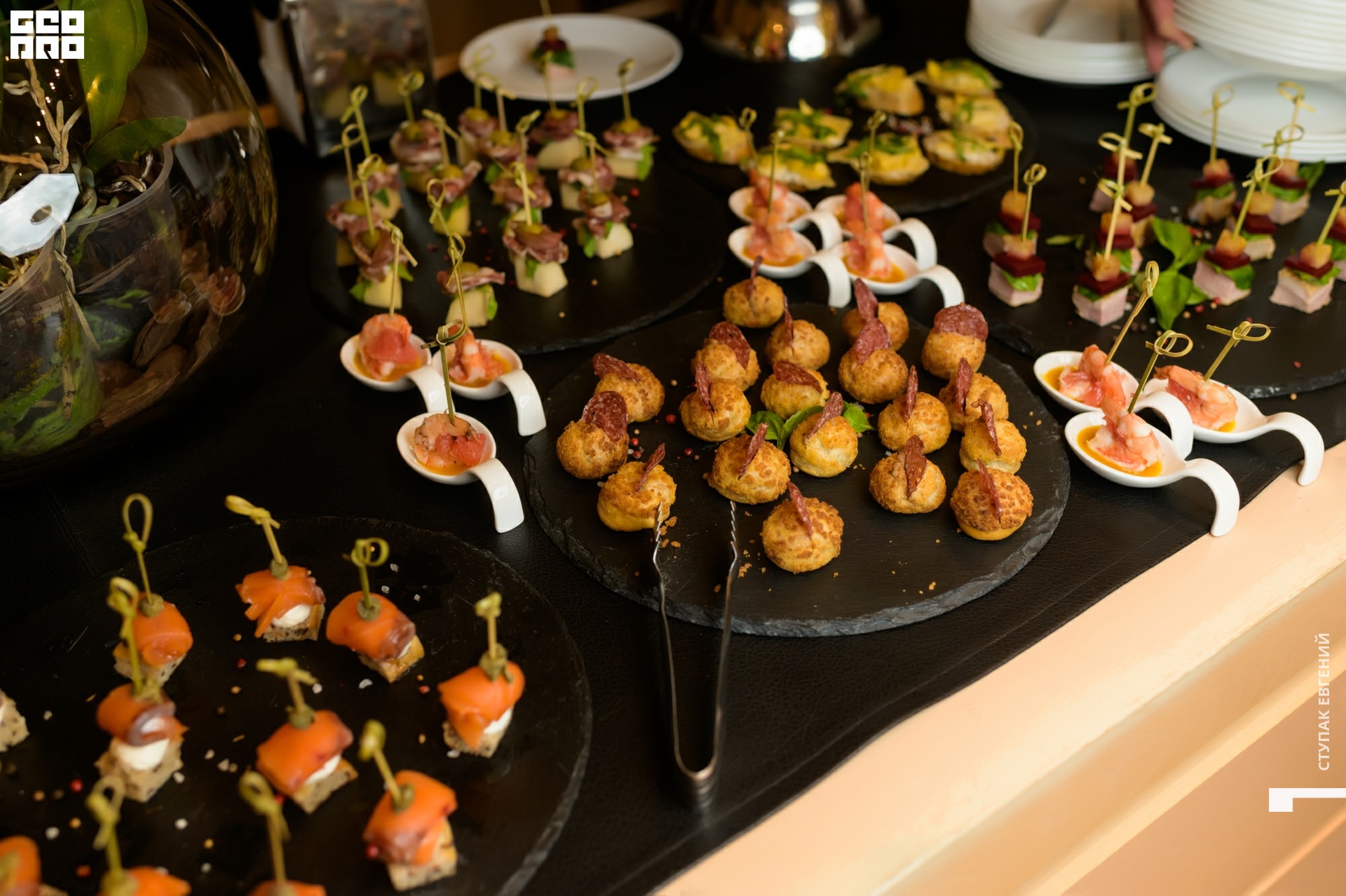 untitled (141 of 369).jpg