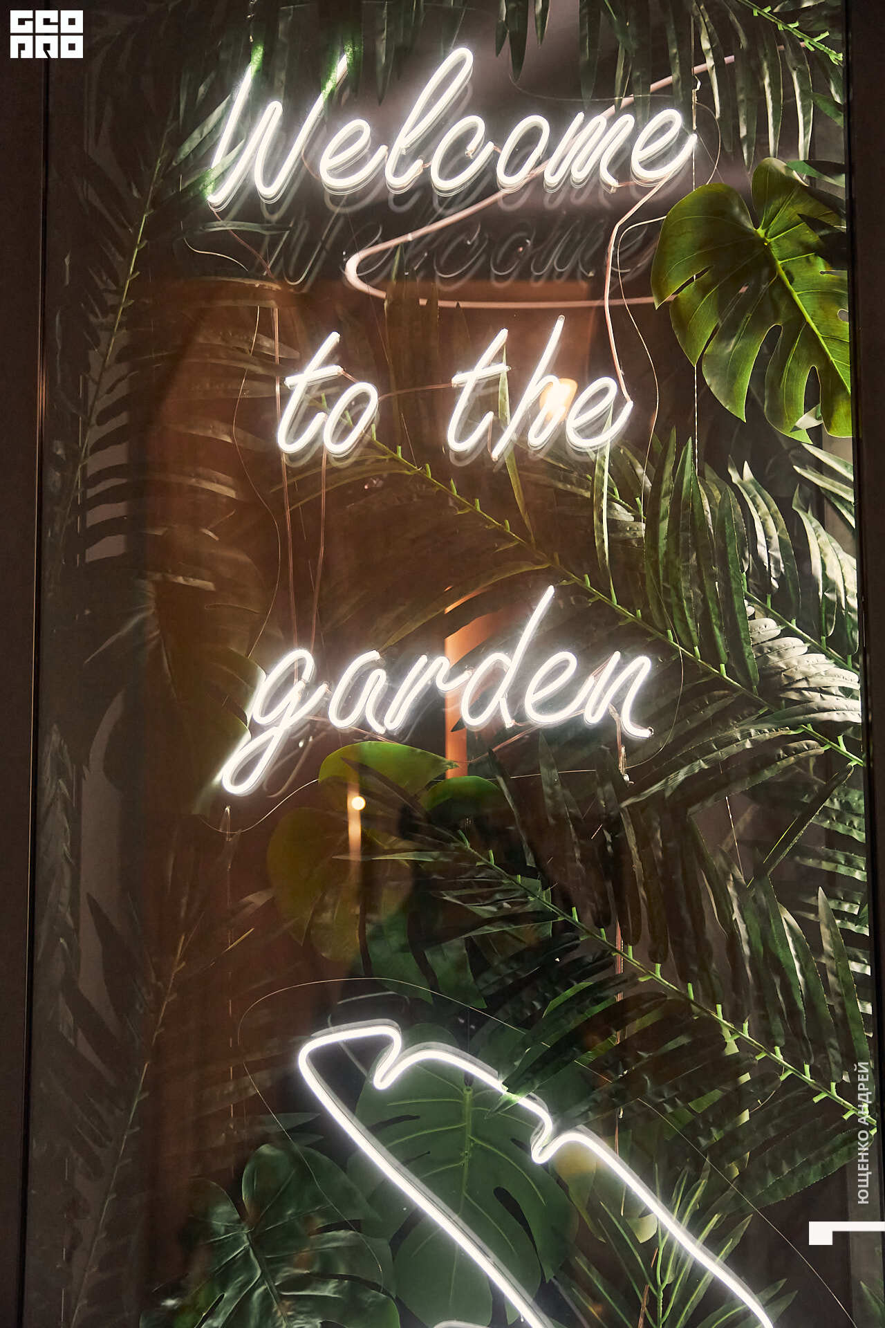 025 IMG_2714  FHD.jpg