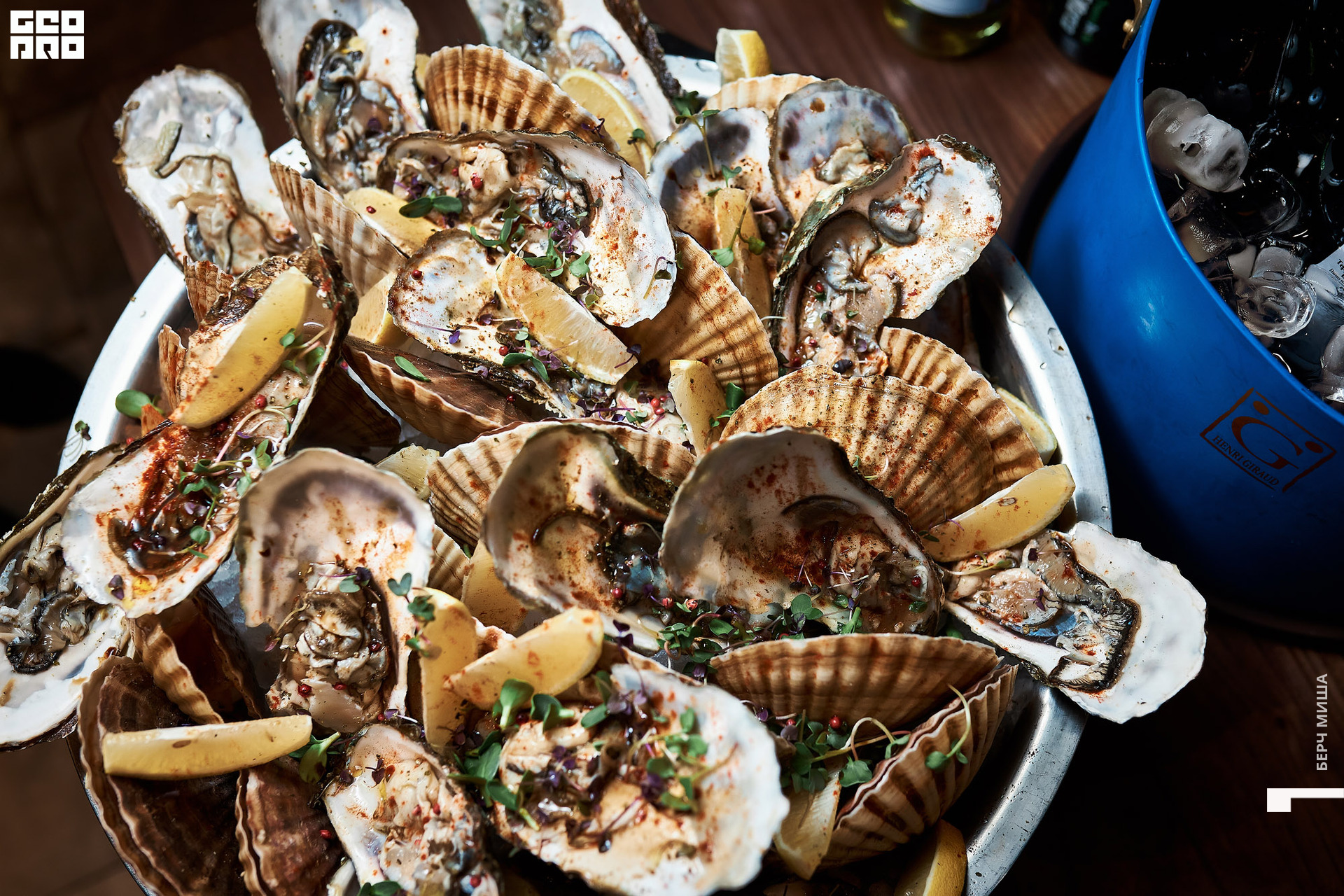 @misha.byorch 0036.jpg