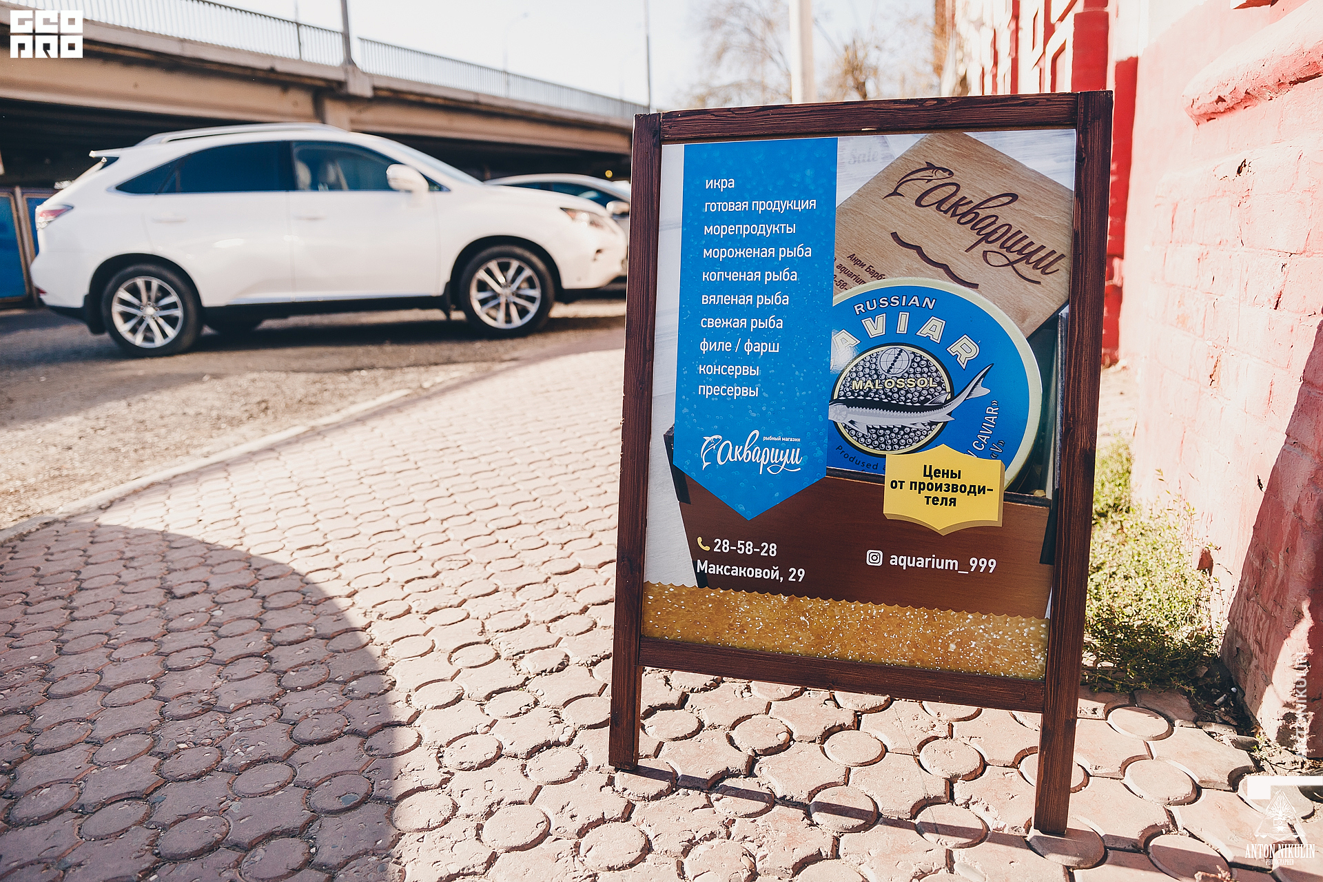 untitled shoot-9756.jpg