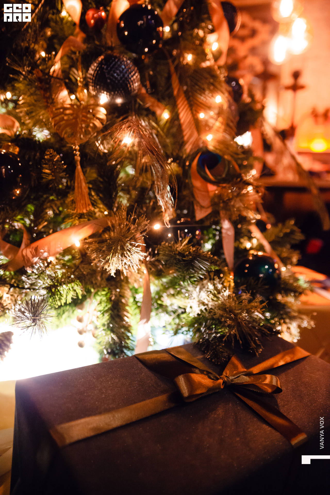 2019-12-06 20-00-00_Вокс_0068.jpg