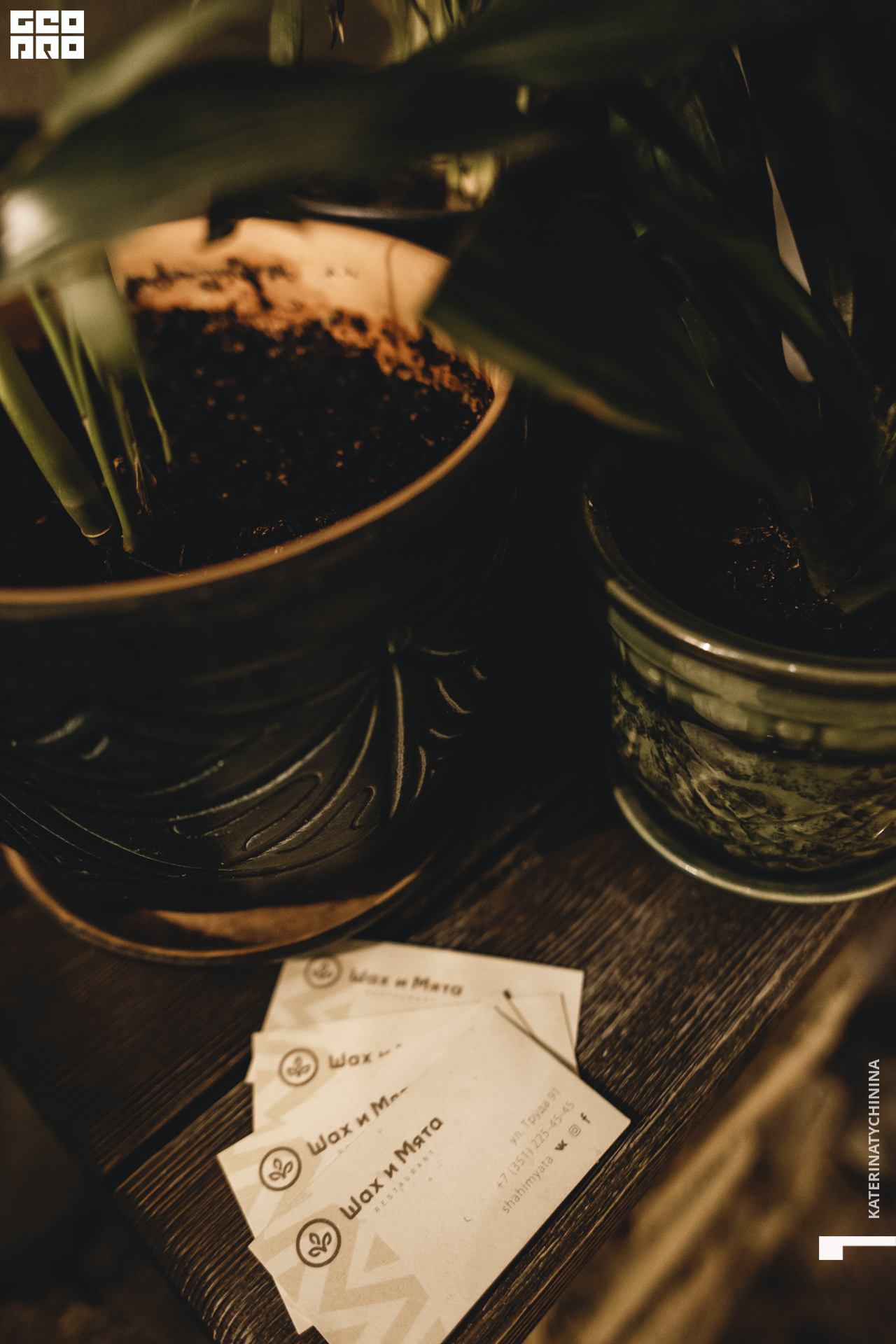 2019-12-26 20-00-00_Tychinina_0008.jpg