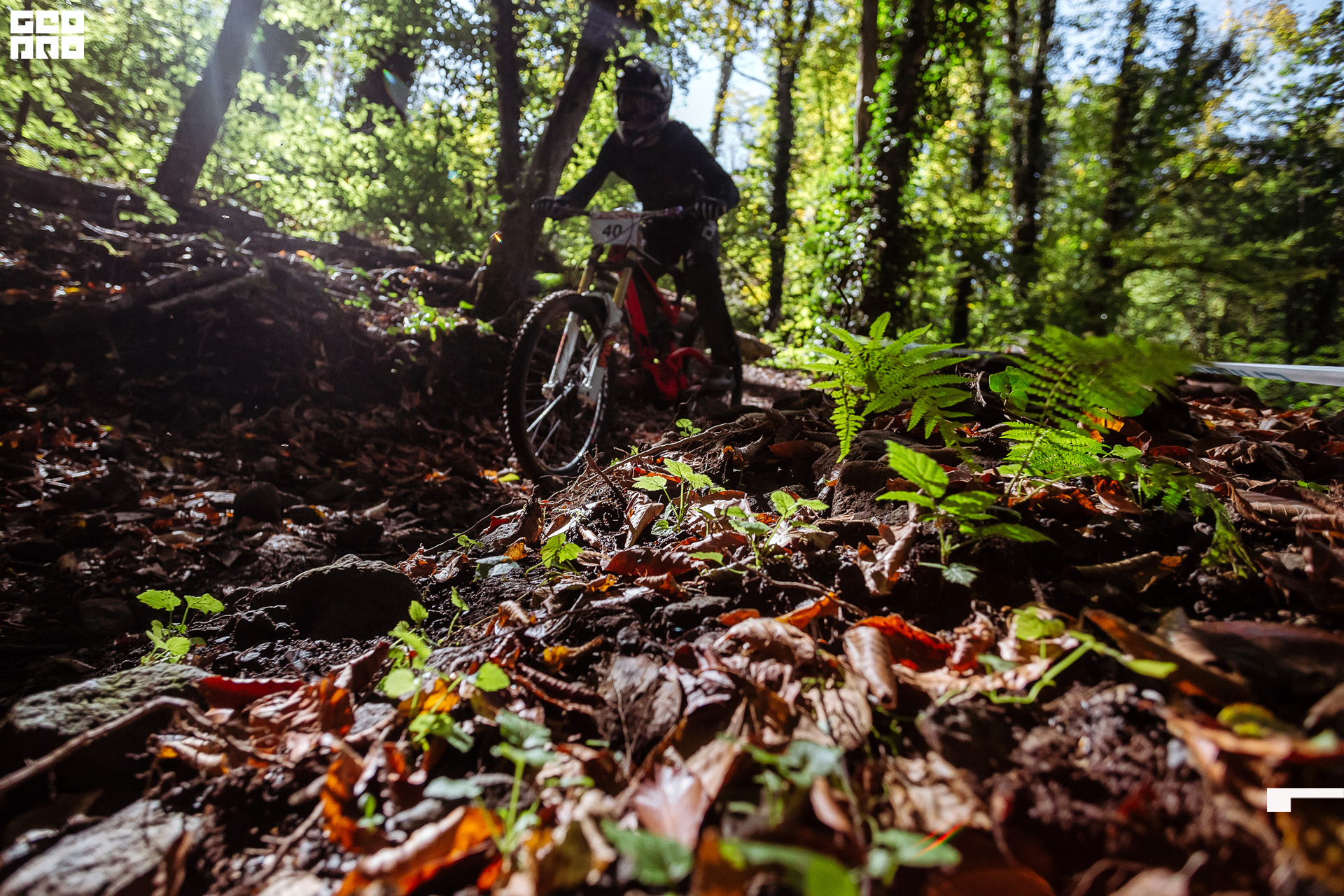 12_10_19 Мегалавина_102.jpg